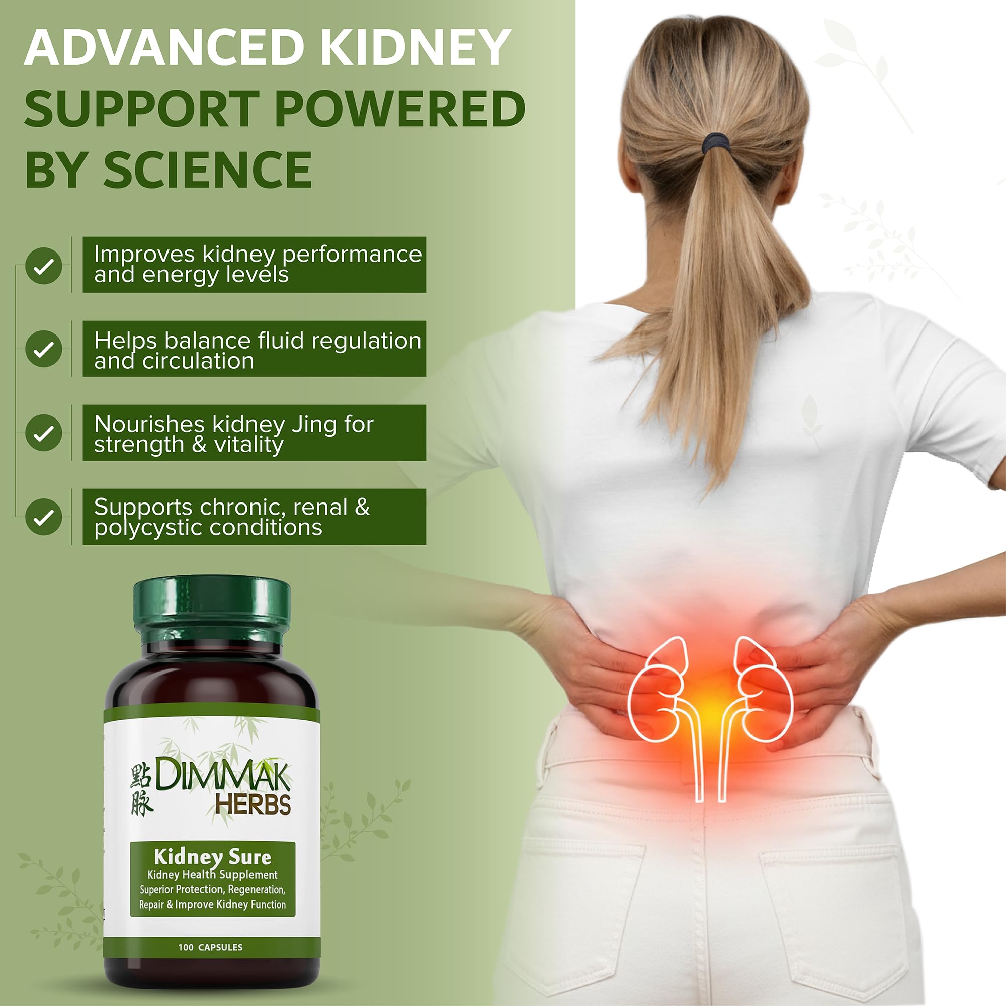 Dimmak Herbs Kidney Sure- Kidney Cleanse & Revitilization Tonic- Organic Herbal Support for Renal Health, Urinary Tract Flow & Vitality- TCM Doctor Formulated, Vegan- 400mg 100 Capsules Dimmak Herbs Au supplements