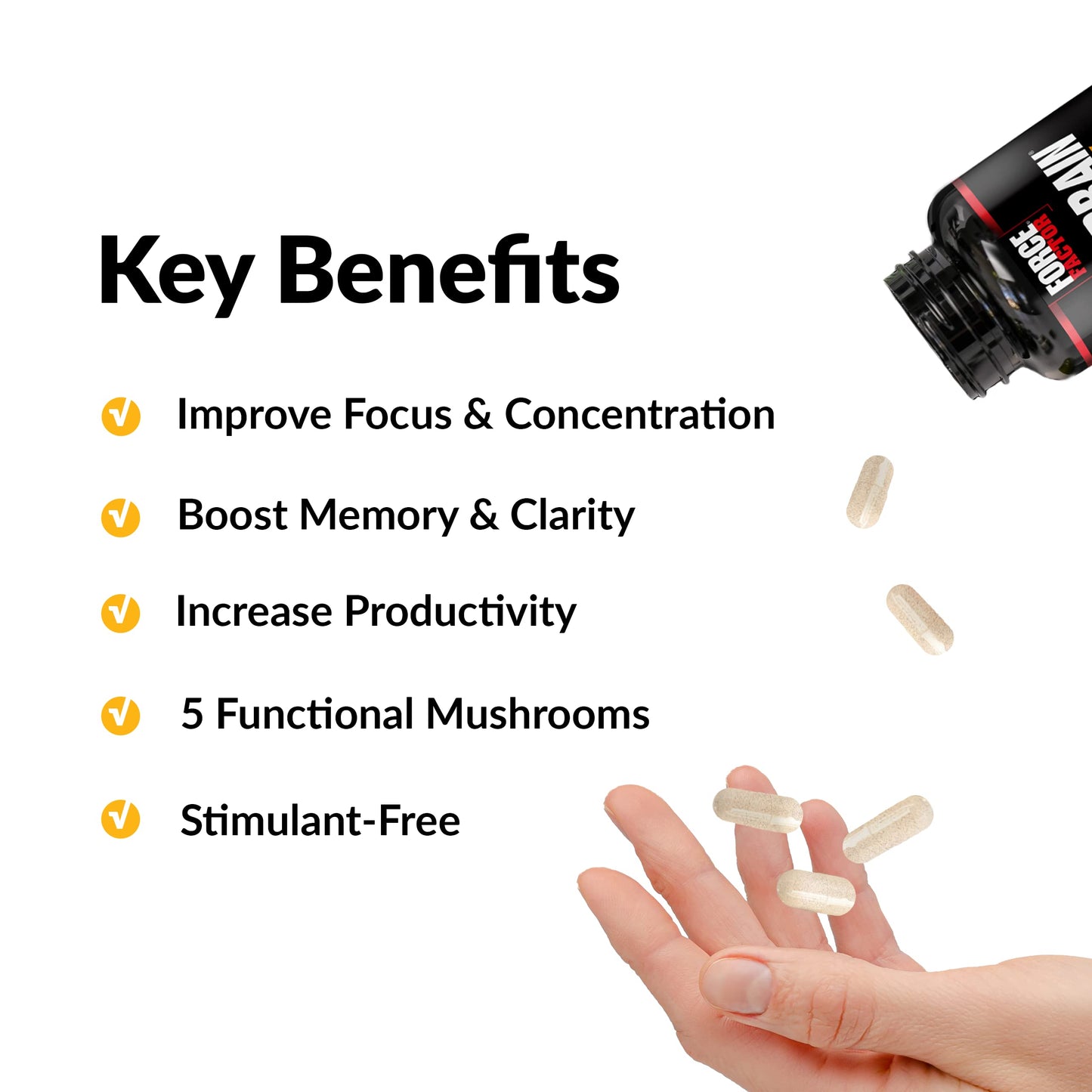 Forebrain Focus Brain Booster, Brain Supplement to Boost Clarity & Concentration, Improve Memory & Sharpness & Productivity, Nootropic Brain Support Supplement, Force Factor, 120 Capsules, Black Force FactorUS supplements