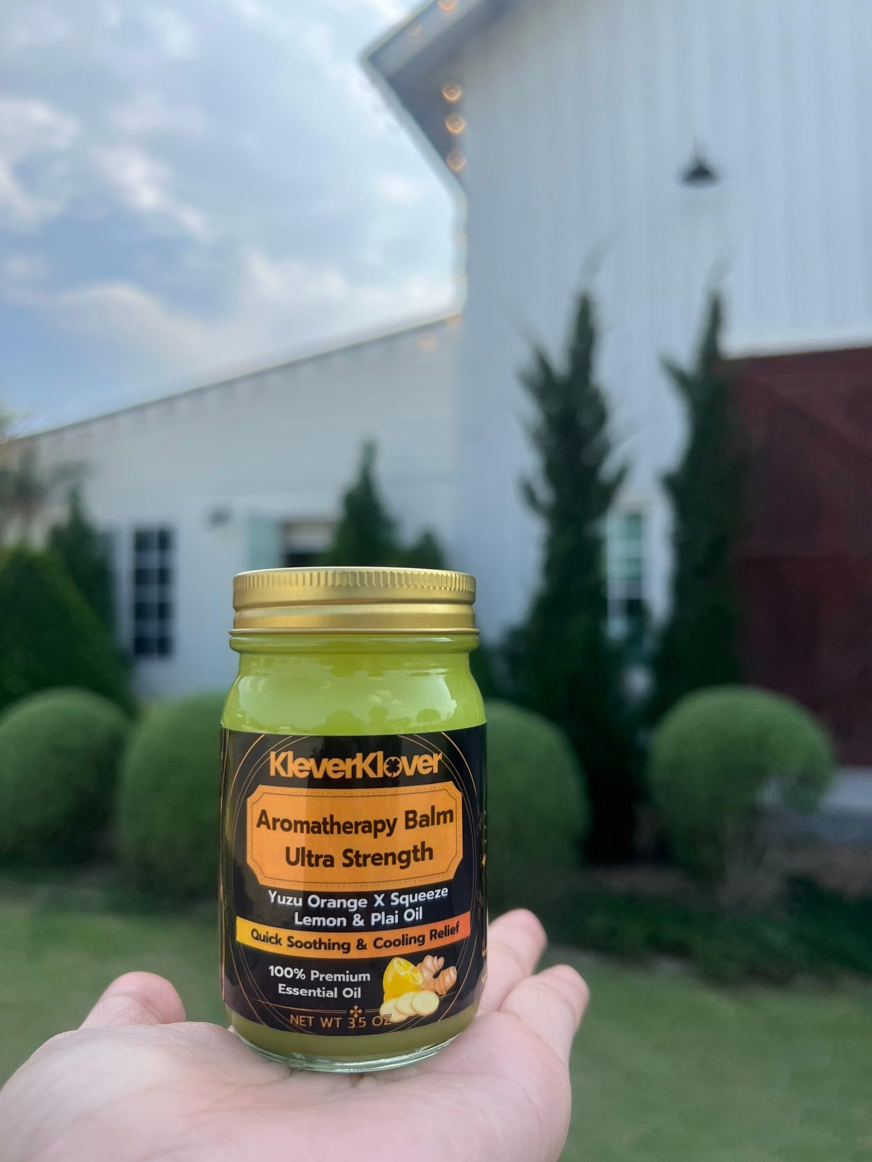 KleverKlover Back and Neck Aromatherapy Balm Ultra Strength for Healing Sore Muscle & Joint After Workout or Yoga - Plai Oil - Preservative Free- Citrus Scent + Free Massage Reflexology Wooden Stick KleverKlover Au supplements