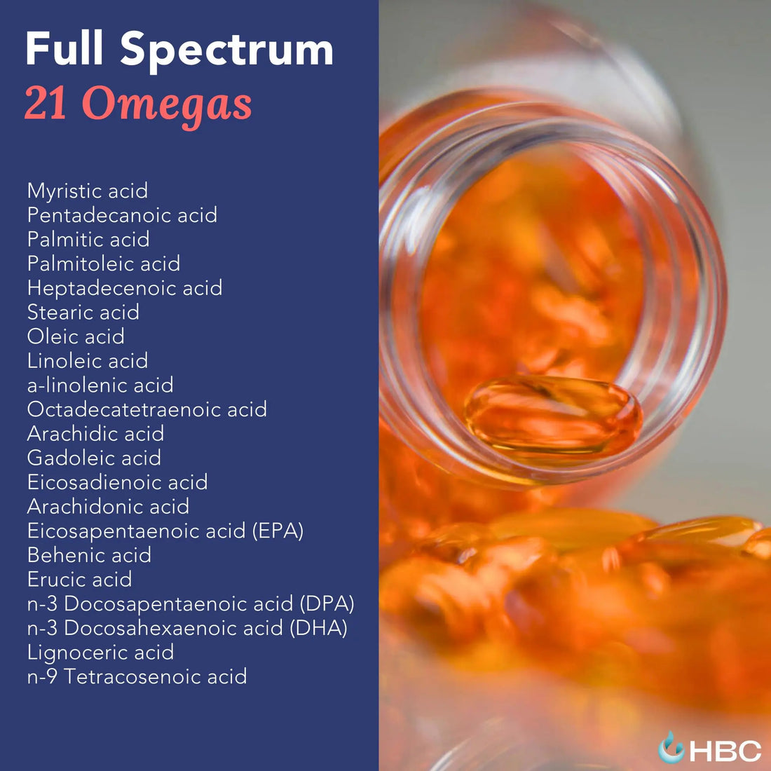 High Strength Omega 3 Fish Oil - 1000mg, Norwegian Salmon Oil with EPA & DHA, No Burping or Aftertaste, Omega 3 Fatty Acids Supplement for Eye, Brain & Heart, Triglyceride Form - 180 Capsules Hofseth BioCare uk supplements