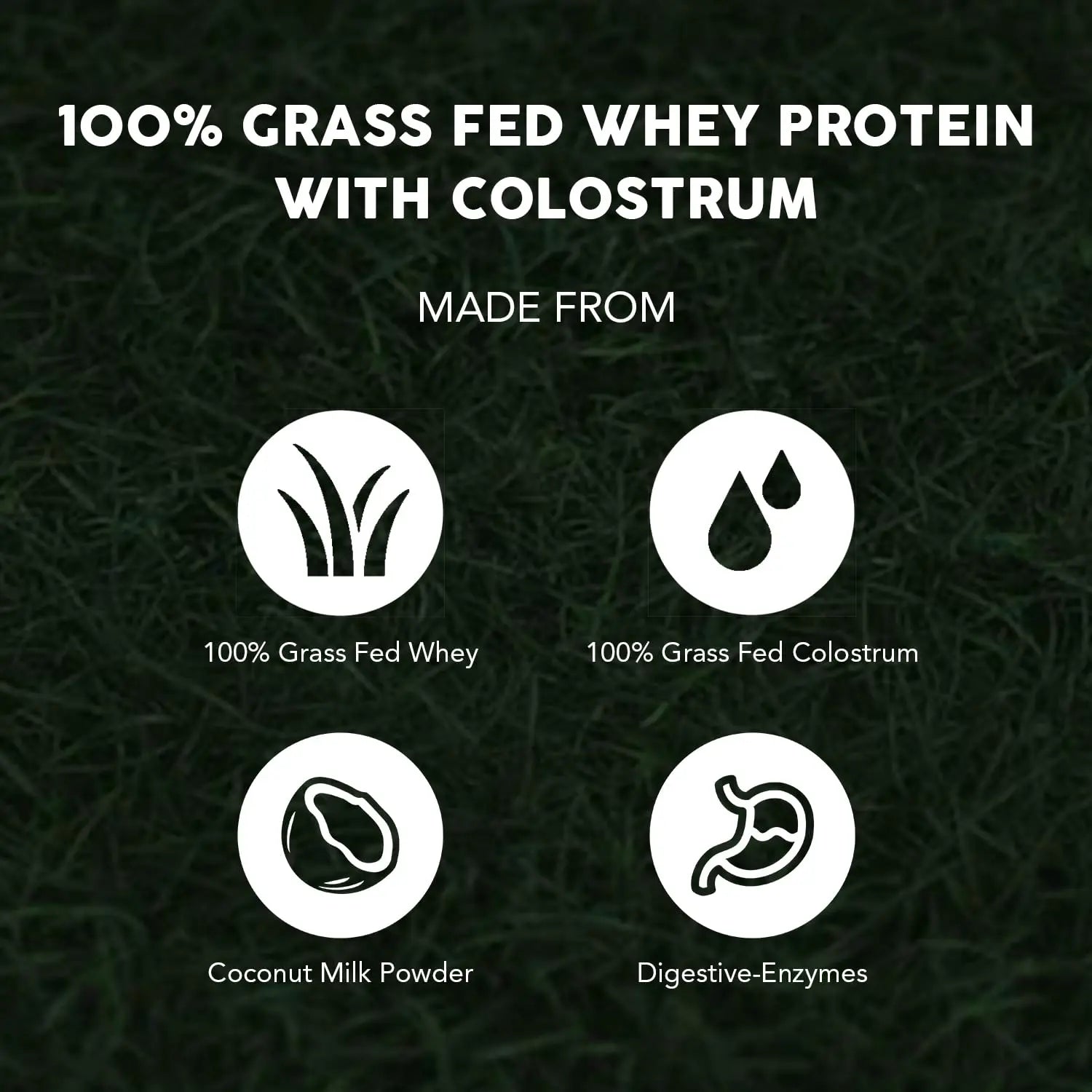 Paleovalley 100% Grassfed Whey Protein Powder with Colostrum, 30 Serving - Vanilla, 13g Protein, Muscle Building, Immune Support, Gut Health Paleovalley Au supplements