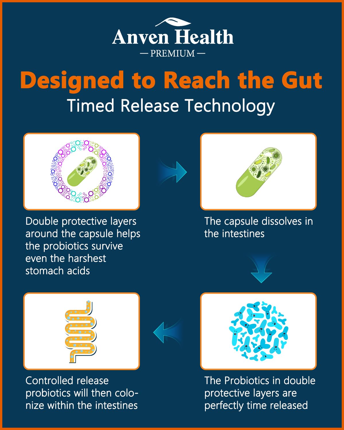 Anven Health 100 Billion Probiotics for Men and Women 27 Strains 5 Organic Prebiotics for Gut Digestive & Immune Health, Supports Diarrhea Gas Bloating, Non-GMO, Zero Fillers – Made in USA丨60 Caps Anven Health Au supplements