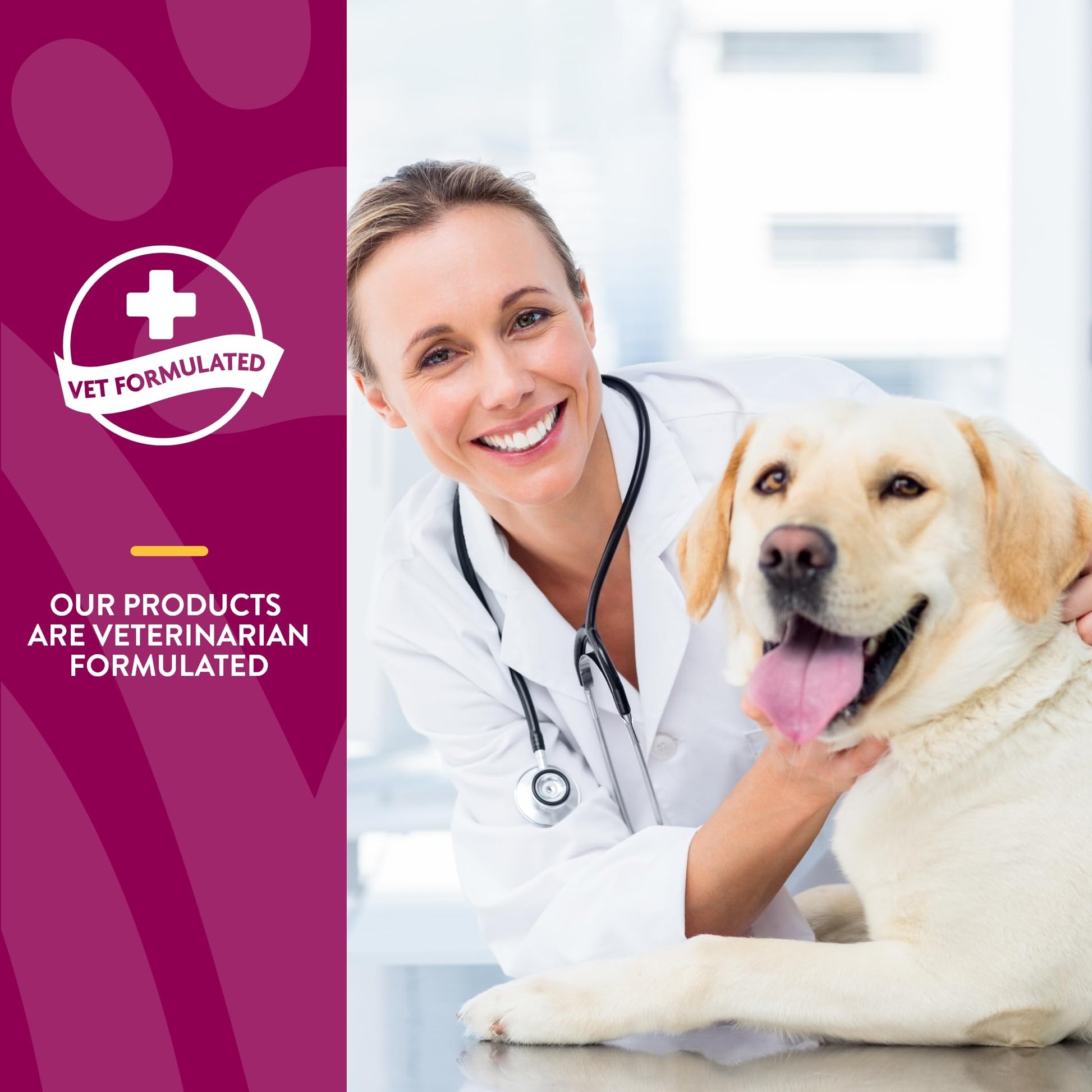 NaturVet – Glucosamine DS Plus - Level 2 Moderate Care – Supports Healthy Hip & Joint Function – Enhanced with Glucosamine, MSM & Chondroitin – for Dogs & Cats – 240 Soft Chews NaturVet Au supplements