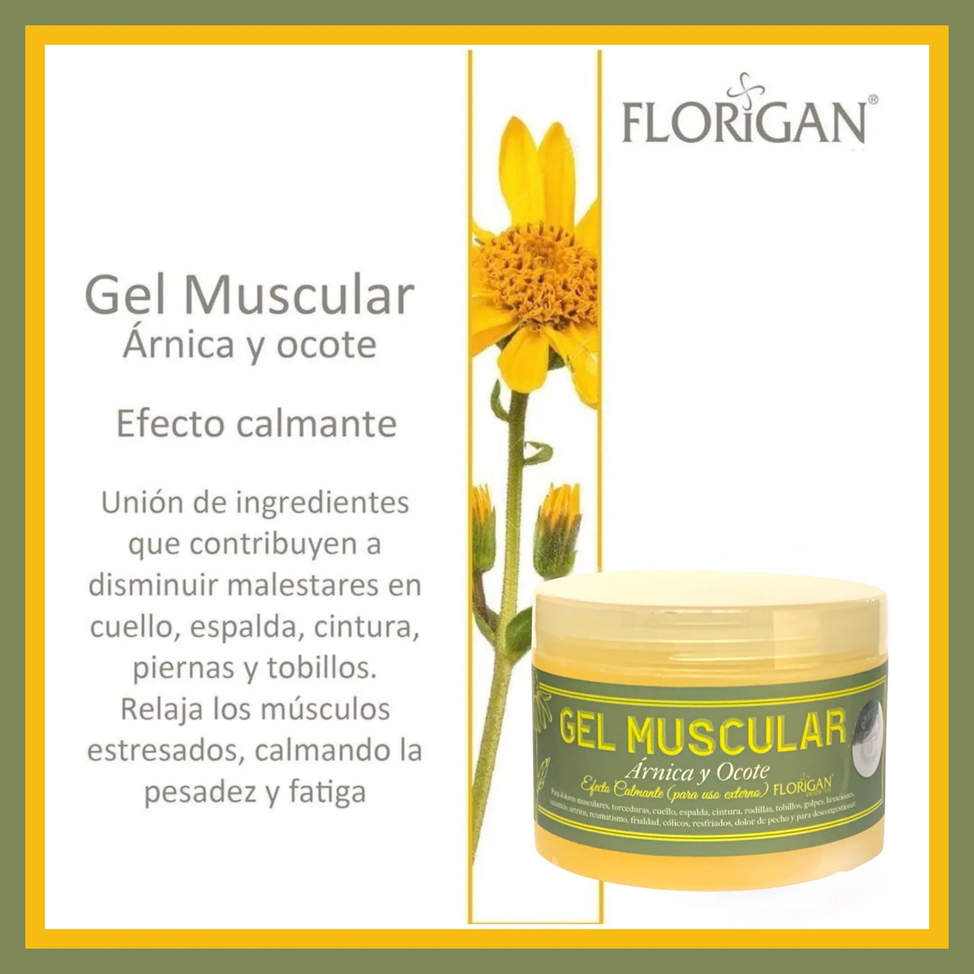 Arnica and Ocote Muscle Gel 350grs. Florigan Au supplements