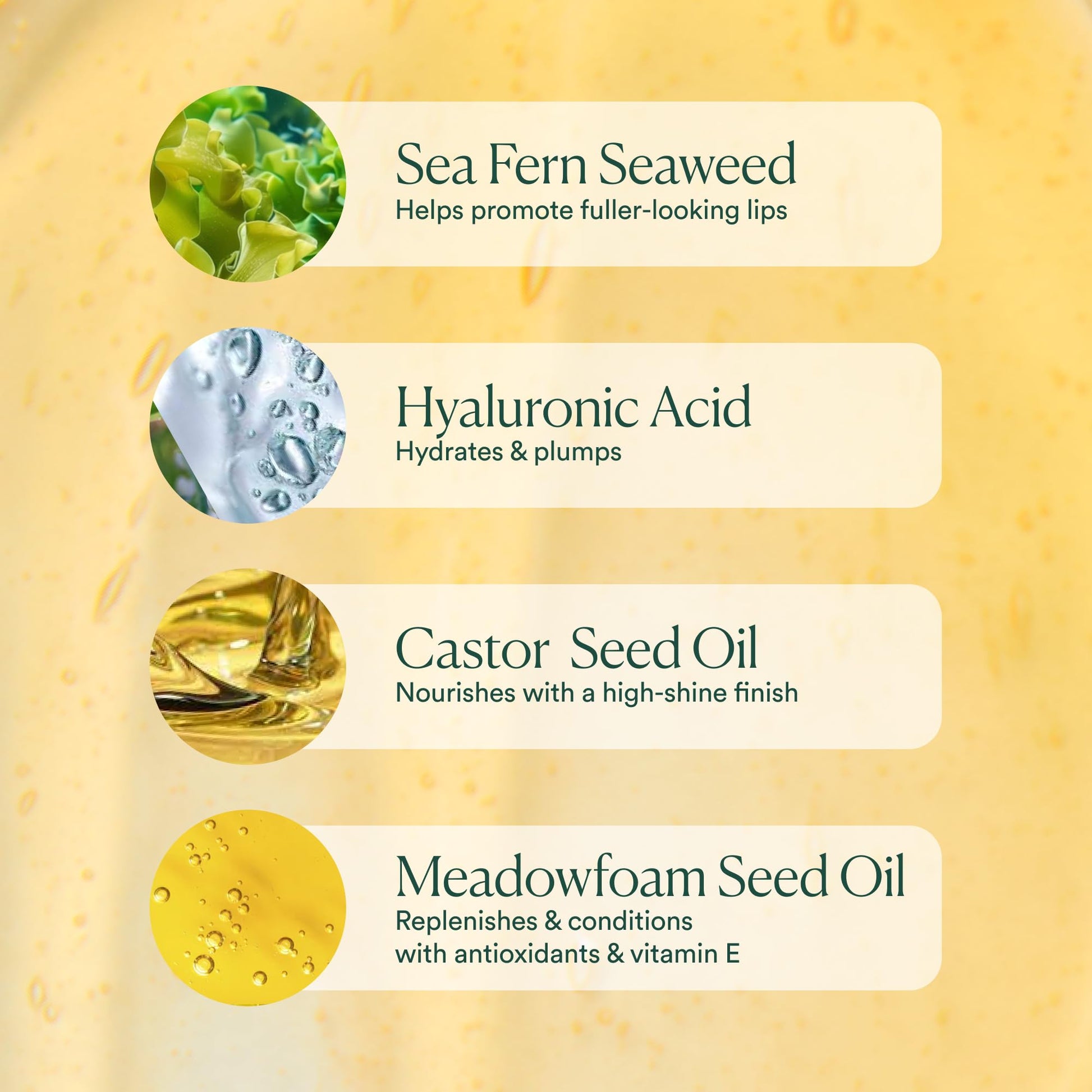 OSEA Hyaluronic Lip Oil Booster – Clean Beauty Lip Oil for Plump, Glossy, Hydrated Lips – Nourishing Seaweed & Meadowfoam Oil – Vegan, Non-Sticky, High-Shine Finish OSEA Au supplements
