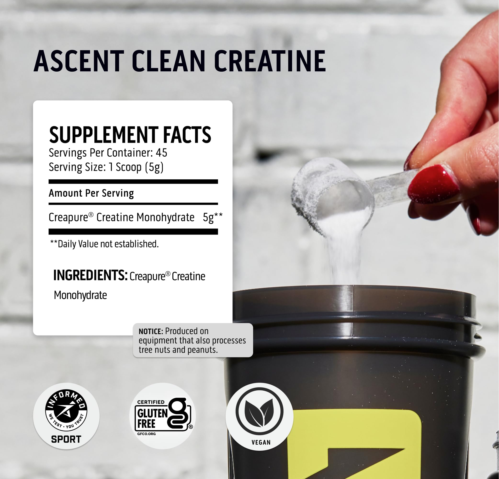 Ascent Clean Creatine Monohydrate Powder - 5G Per Serving, Creapure Creatine Supple Ascent Au supplements