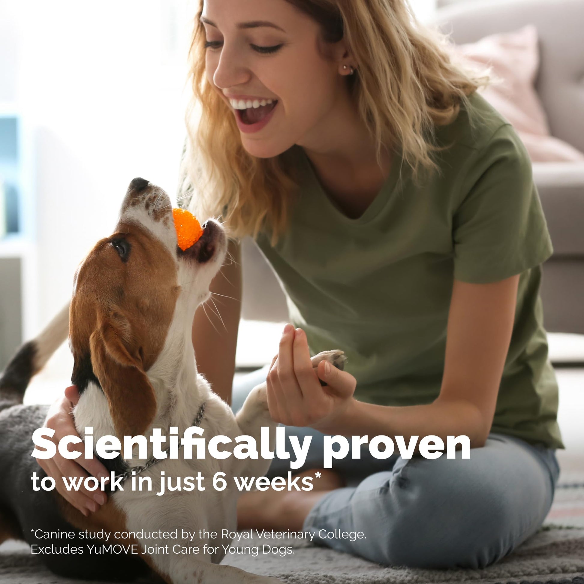 Yumove Hip & Joint Supplement for Dogs with Glucosamine, Hyaluronic Acid, Green Lipped Mussel & Omega 3 Joint Supplement - Regular or Advanced Strength (90 Count, Advanced Vet Strength Soft Chews) YuMOVE Au supplements