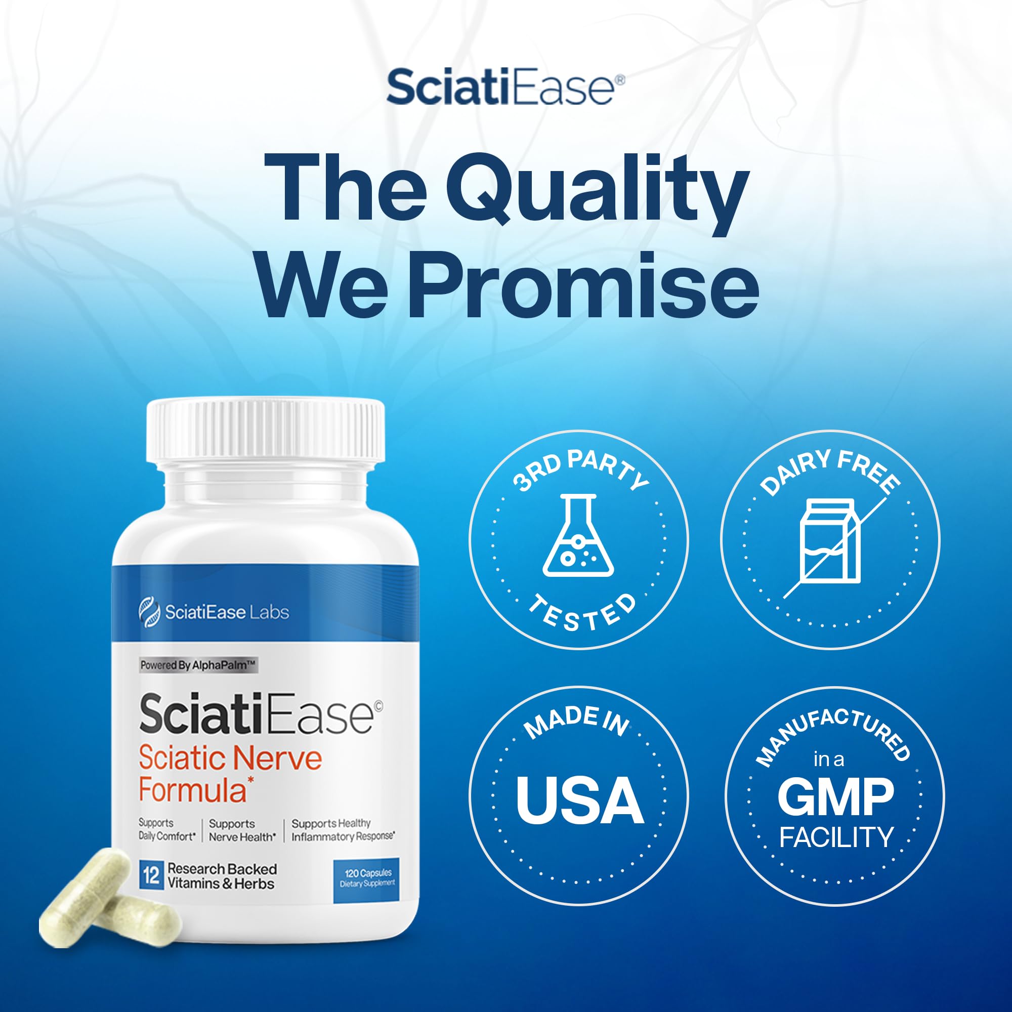SciatiEase Sciatic Nerve Health Support Supplement - Nerve Support Formula with AlphaPalm, Pea, Vitamin B Complex, Alpha Lipoic Acid 300mg - 3 Bottles SciatiEase Au supplements