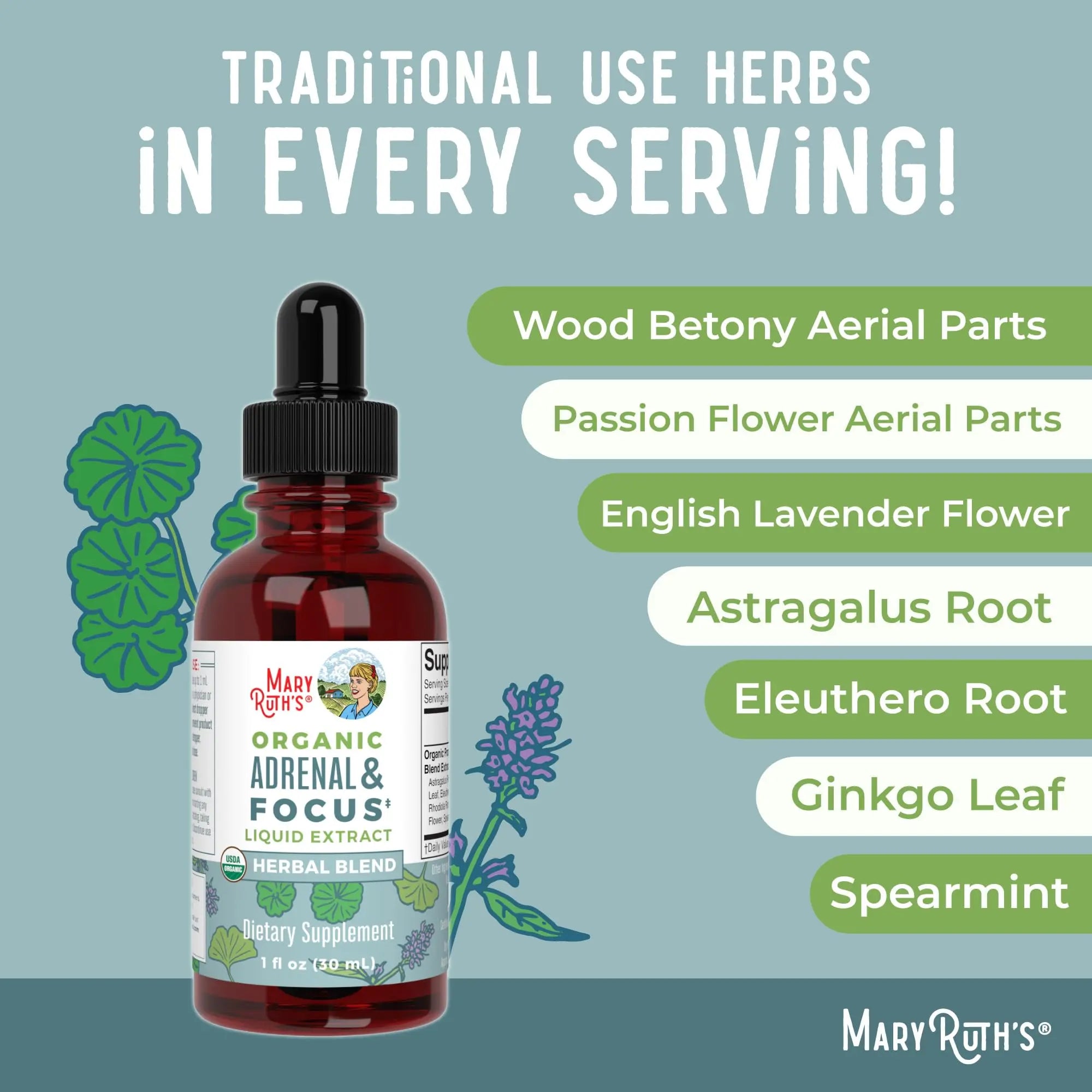 MaryRuth Organics - USDA Organic Brain Nootropic Supplement for Adults with Ginkgo Biloba & Astragalus | Focus & Adrenal Support | Brain & Memory Drops | Vegan | Non-GMO | Gluten Free | 30 Servings MARYRUTH'S Au supplements