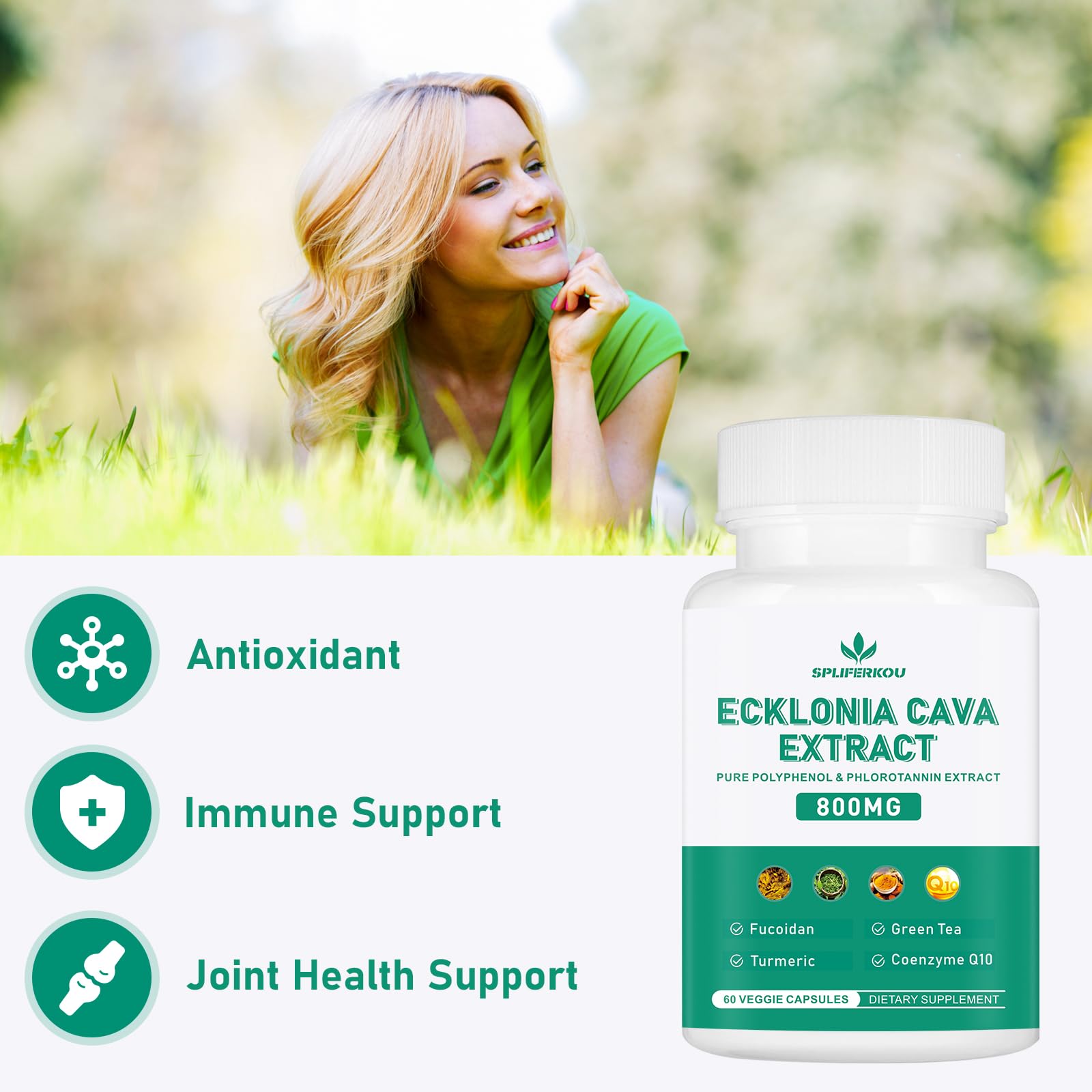 Spliferikou Ecklonia Cava Extract, 800mg, 60 Veggie Capsules with Fucoidan, Green Tea, Turmeric, CoQ10, Dietary Supplement Spliferkou Au supplements