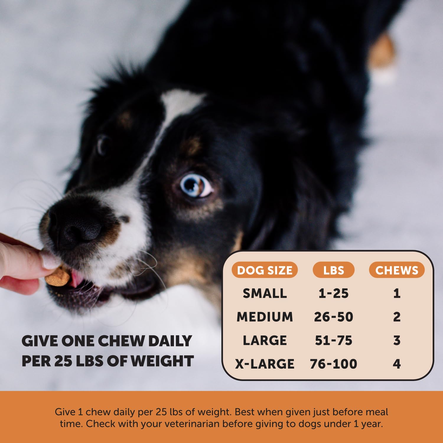 Pet Honesty Hip & Joint Health Max Strength – Dog Joint Support Chews with Glucosamine Chondroitin & Omega-3s – Joint Supplement for Dogs to Support Mobility, Flexibility & Comfort – Bacon (90 ct) Pet Honesty Au supplements