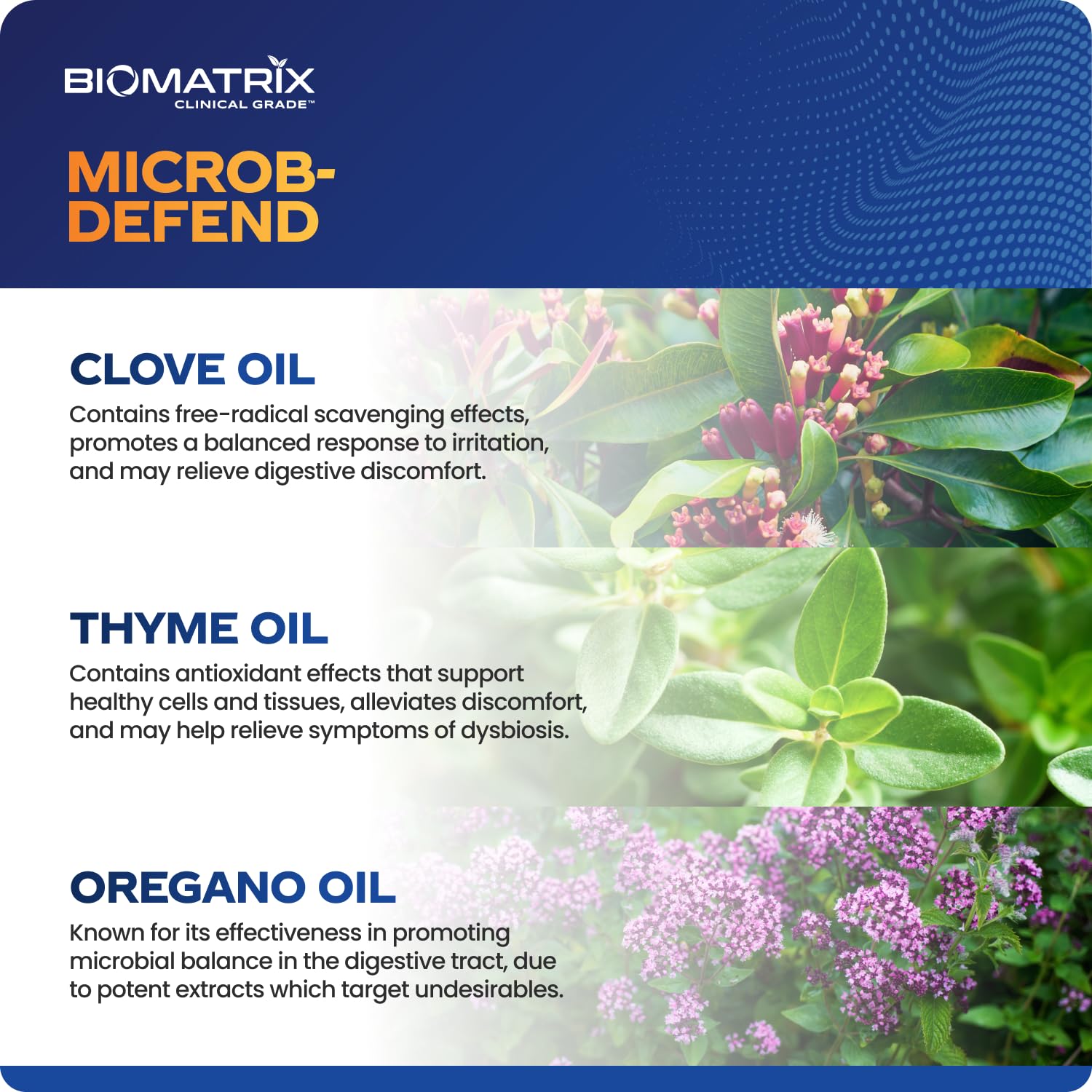 BioMatrix Biofilm Disruptor, GI Repair Digestive Supplement for Men and Women, Oil of Thyme, Oregano & Clove, Gut Microbiome & Intestinal Health Support | Microb-Defend (90 Softgels) BioMatrix Au supplements