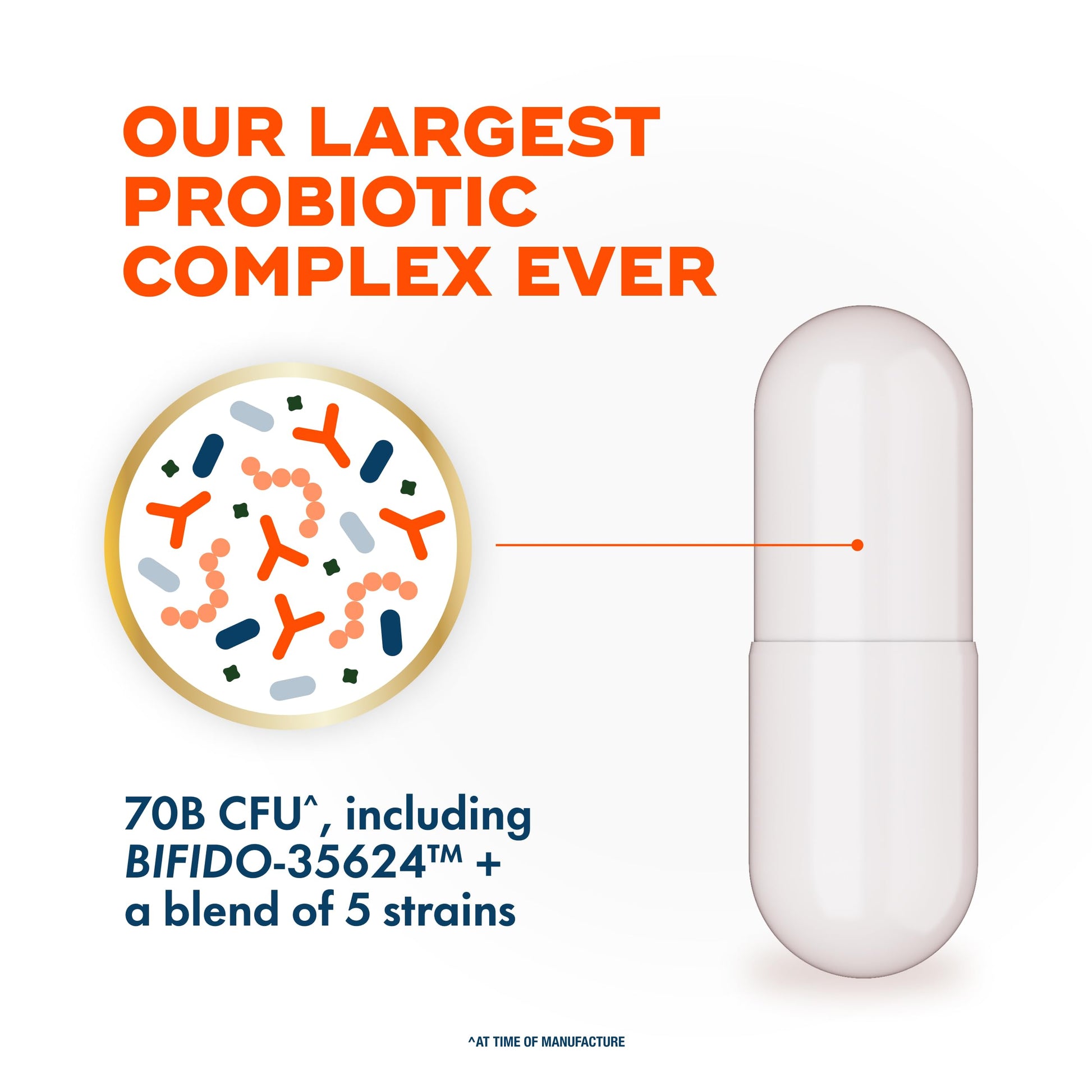 Align Probiotic, 70 Billion CFU, 6 Strain Blend, Probiotics for Women and Men, Daily Probiotics for Digestive Health, Helps Relieve Occasional Bloating & Gas 30 Capsules Align Au supplements