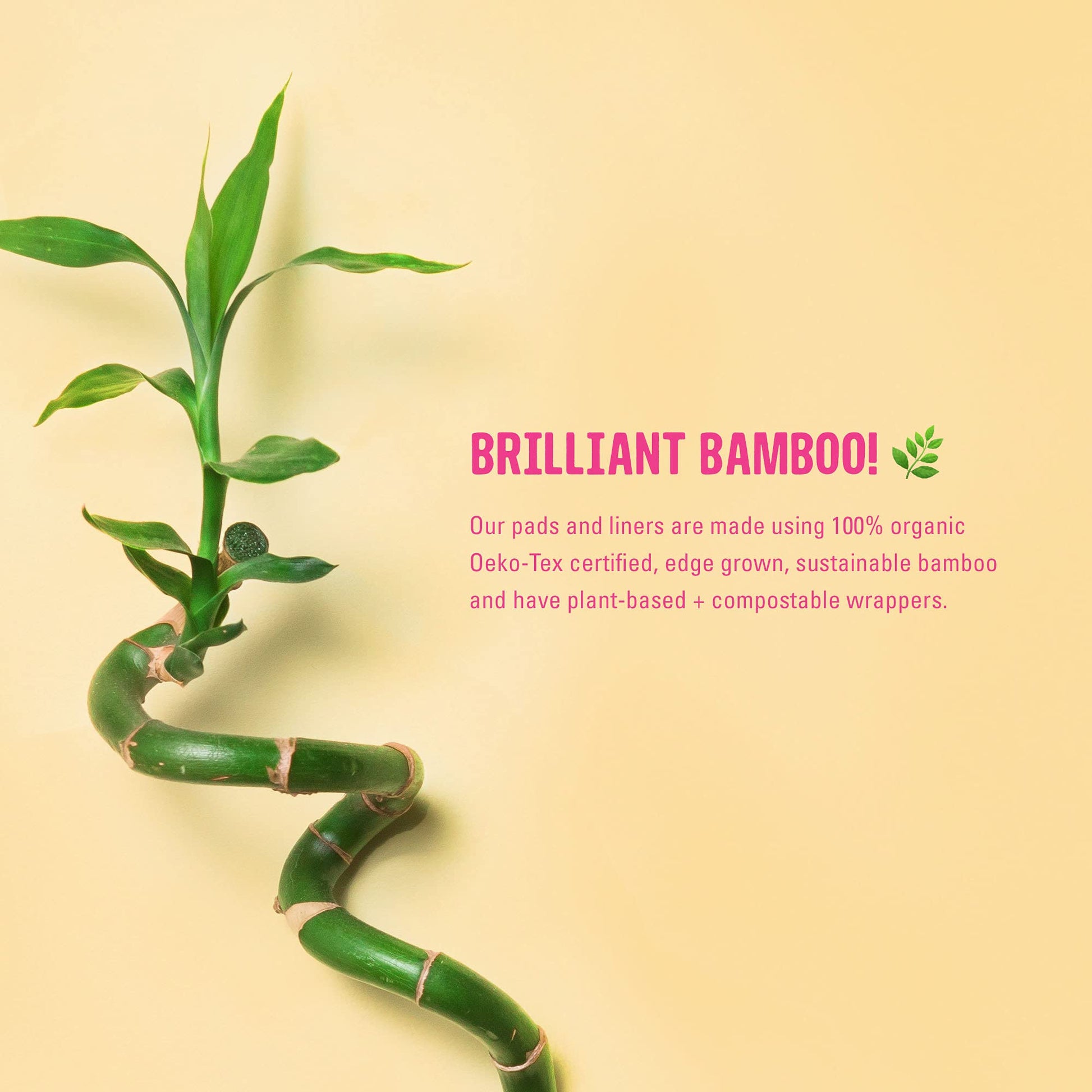 FLO - Organic Bamboo Daily Panty Liners, Plant-Based Cotton, Biodegradable FLO Au supplements