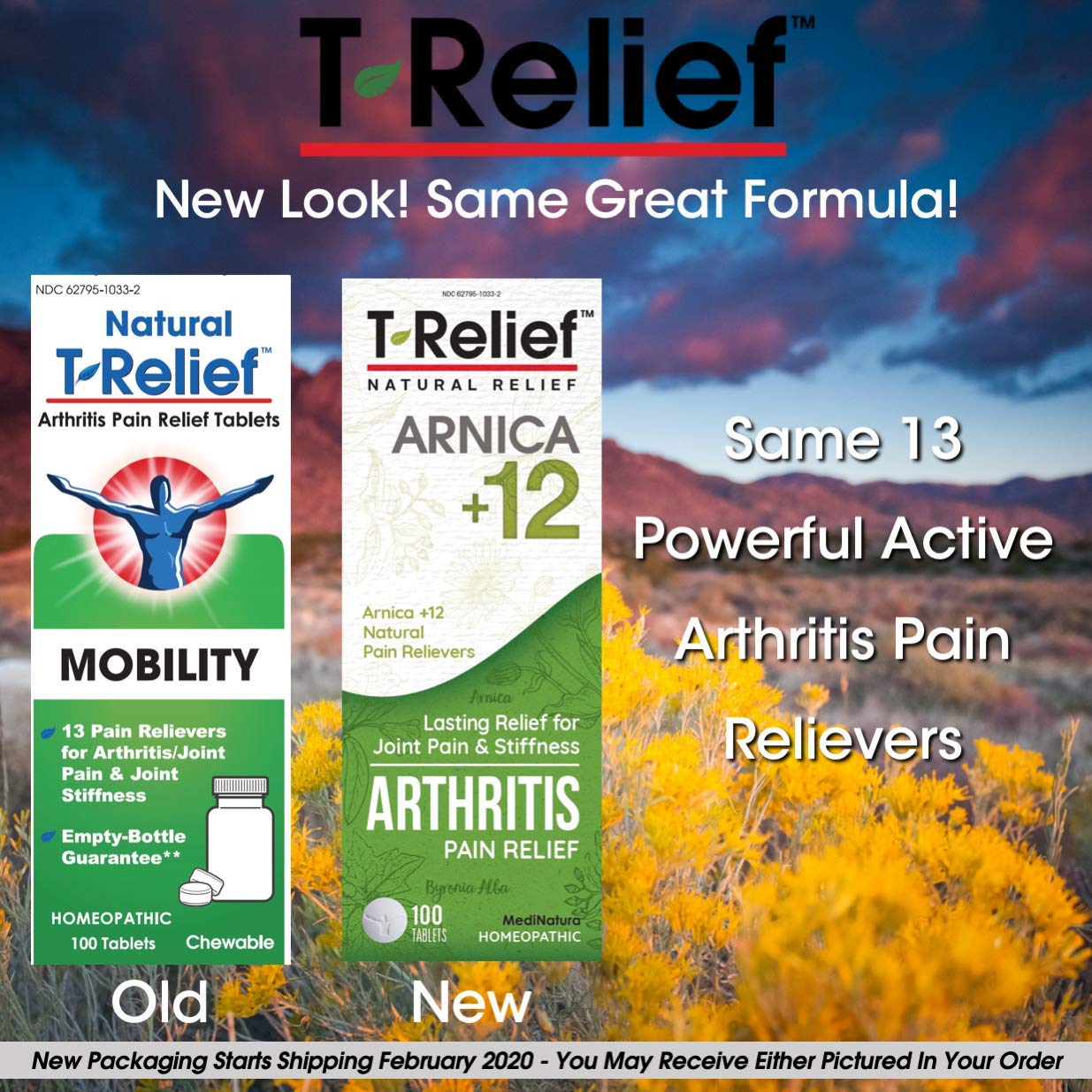 MediNatura T-Relief Extra Strength Arthritis Pain Reliever Arnica +12 Natural Medicines for Joint Soreness Stiffness Aches, Quick Dissolving Pain Relief for Women & Men - 100 Tablets (4 Pack) MediNatura Au supplements
