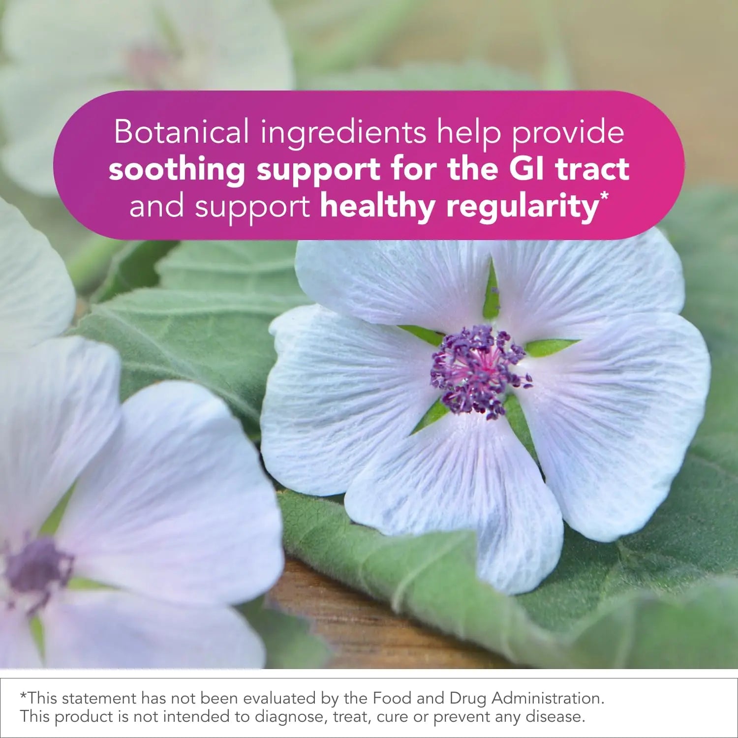 Biocidin Proflora 4R Spore Probiotic - Digestive Health Probiotics for Women & Men - Clinically Researched Bacillus Strains & Organic Aloe, Marshmallow Root for Gut Support (30 Vegan Capsules) Bio-Botanical Research Au supplements