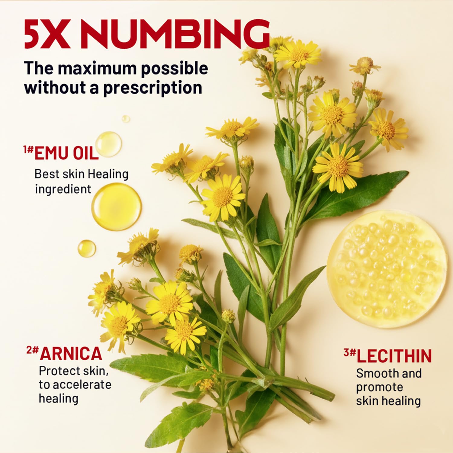 Acolye Numbing Cream Maximum Strength : 5% Lidocaine Topical Anesthetic - Extra Strength 5X Numbing with Menthol Arnica and Emu Oi (2 Fl Oz, Mint Flavor) Acolye Au supplements