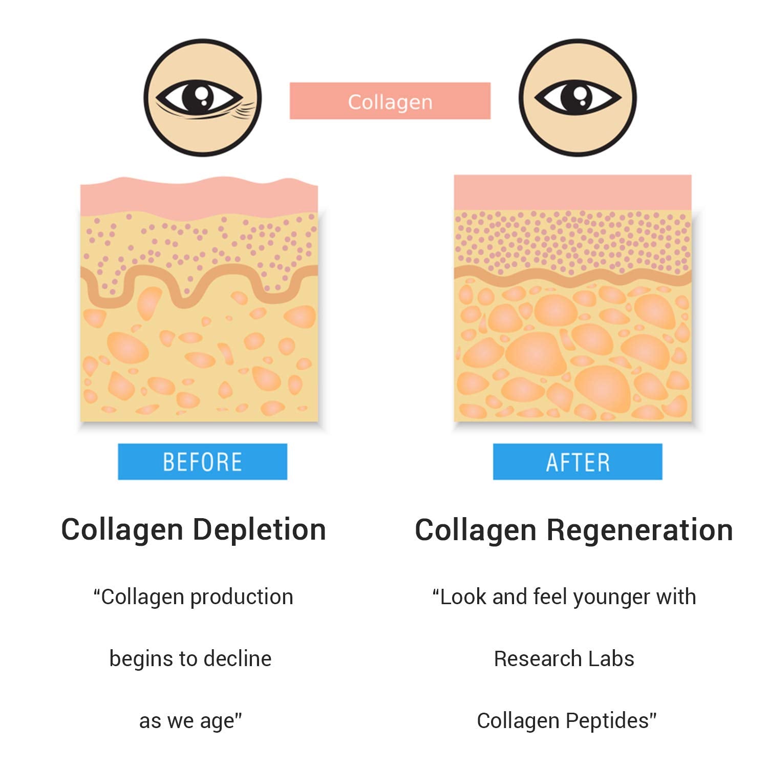 Research Labs 2 for 1 Promo 240 Collagen Pills - 6000 mg Per Day. Grass Fed Anti-Aging Support for Skin, Joints, Tendons, Bones, Hair and Nails. Paleo Friendly. Collagen Peptides Powder Supplement… Research Labs Au supplements