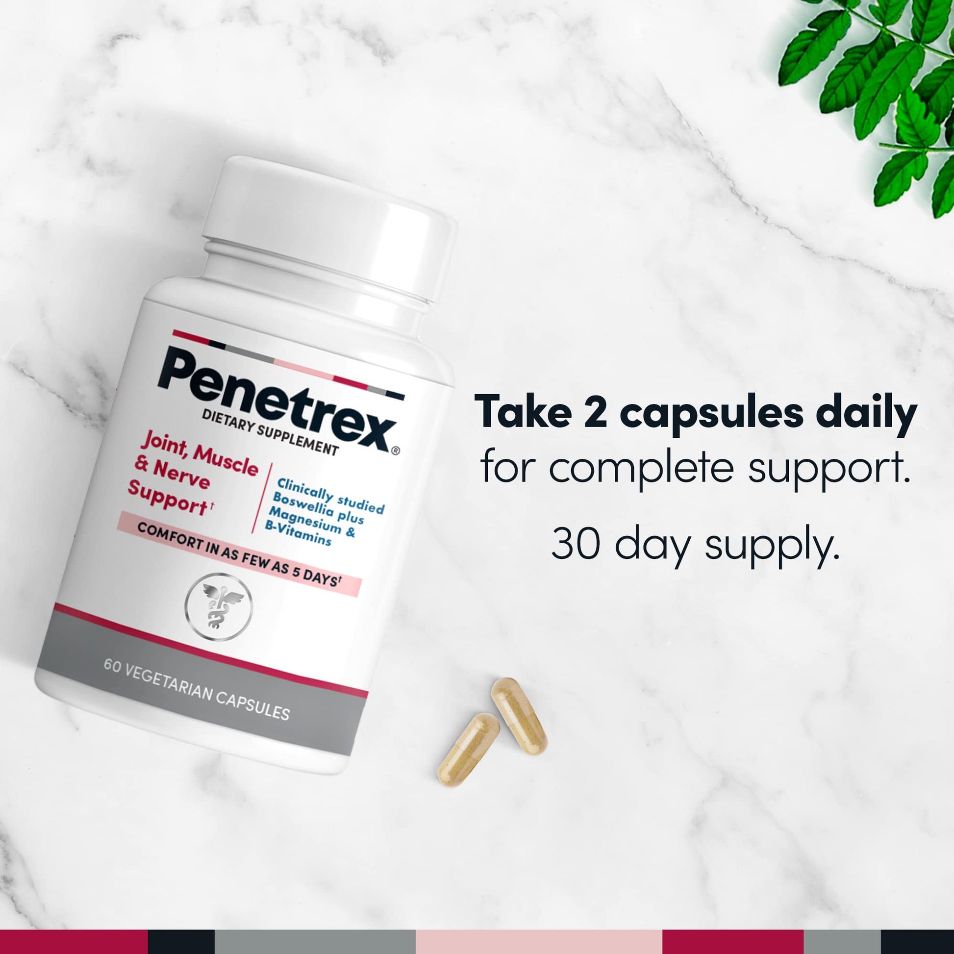 Penetrex Joint, Muscle and Nerve Support Supplement with 3 oz Joint & Muscle Therapy Roll-On Gel Penetrex Au supplements