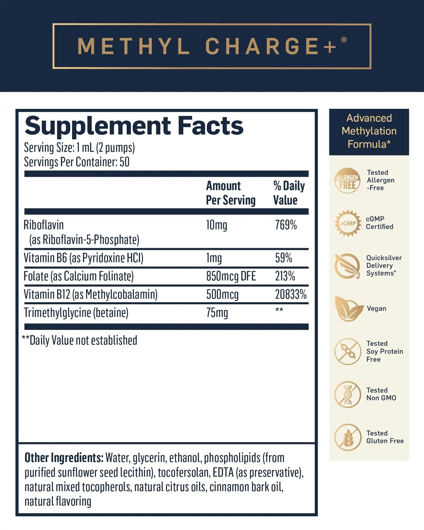 Quicksilver Scientific Methyl Charge - Methylation, Liver, Detox + Energy Supplement - Folate, Vitamin B12, Riboflavin, Vitamin B6 + TMG Supplement with Superior Absorption - Vegan B Vitamins (50ml) Quicksilver Scientific Au supplements