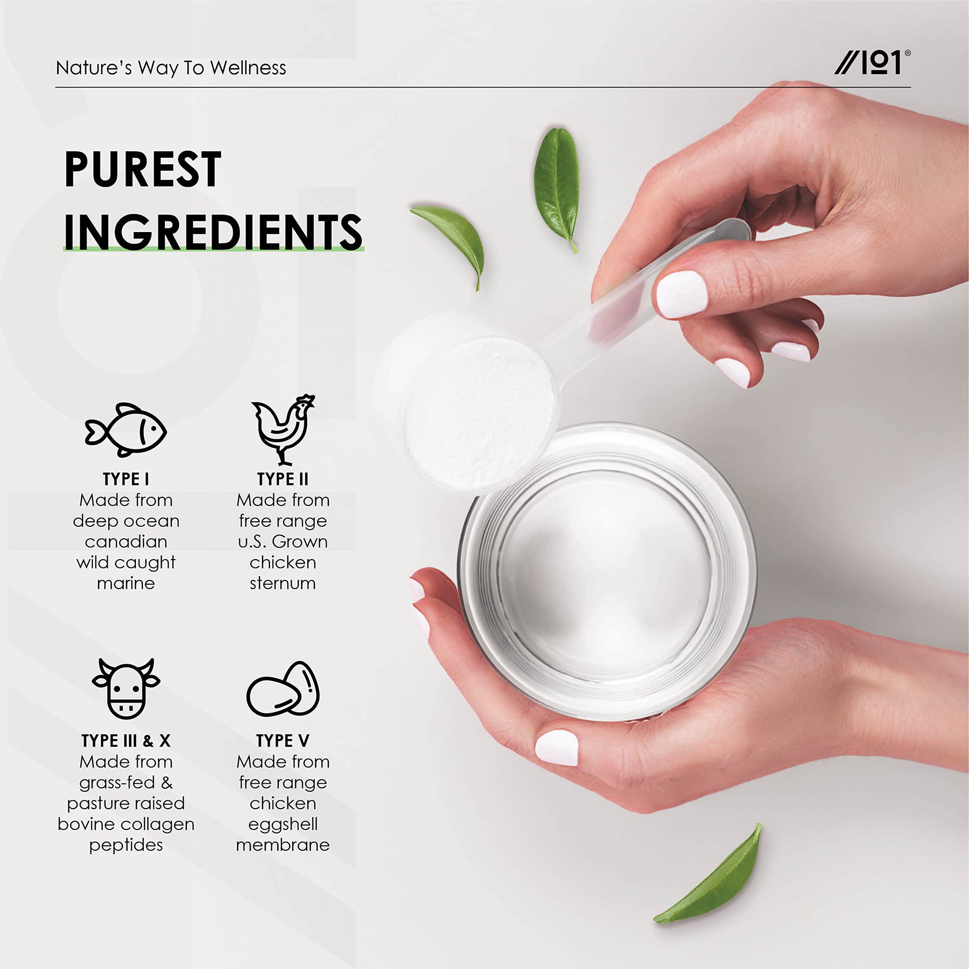 Multi Collagen Protein Powder (400g) - Types I, II, III, V & X - Hydrolyzed Grass Fed Bovine, Wild Caught Fish ALPHA01 Au supplements