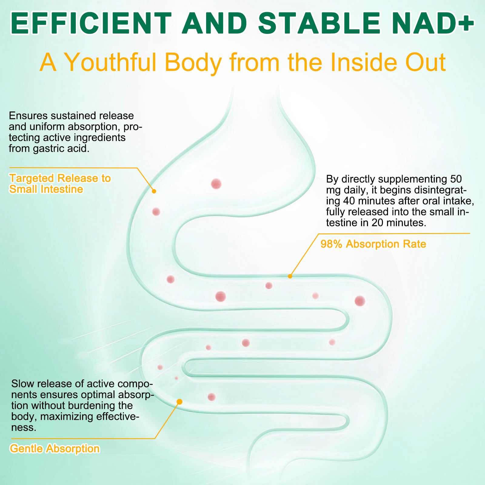NAD Supplement 120 Capsules, Liposomal Nicotinamide Riboside, Resveratrol, Quercetin, NAD Nicotinamide Riboside Resveratrol 910mg for Women & Men, NAD Supplement for Anti Aging and Cell Regeneration RHBESTOK Au supplements