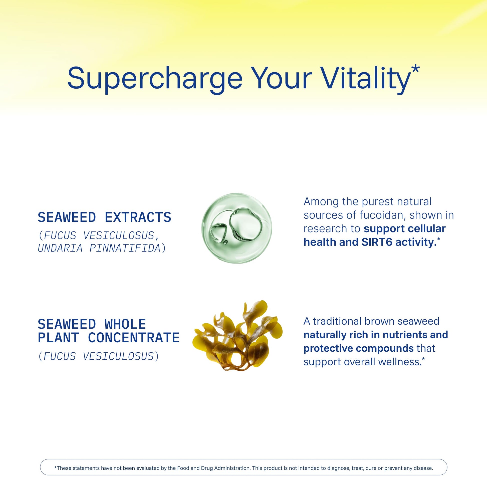 ProHealth Sirtuin 6 Activator | 60 Capsules | Fucoidan-Rich Seaweed Extract to Activate SIRT6 for Longevity, DNA & Cellular Support | Triple Lab-Tested, GMP-Manufactured in USA ProHealth Au supplements