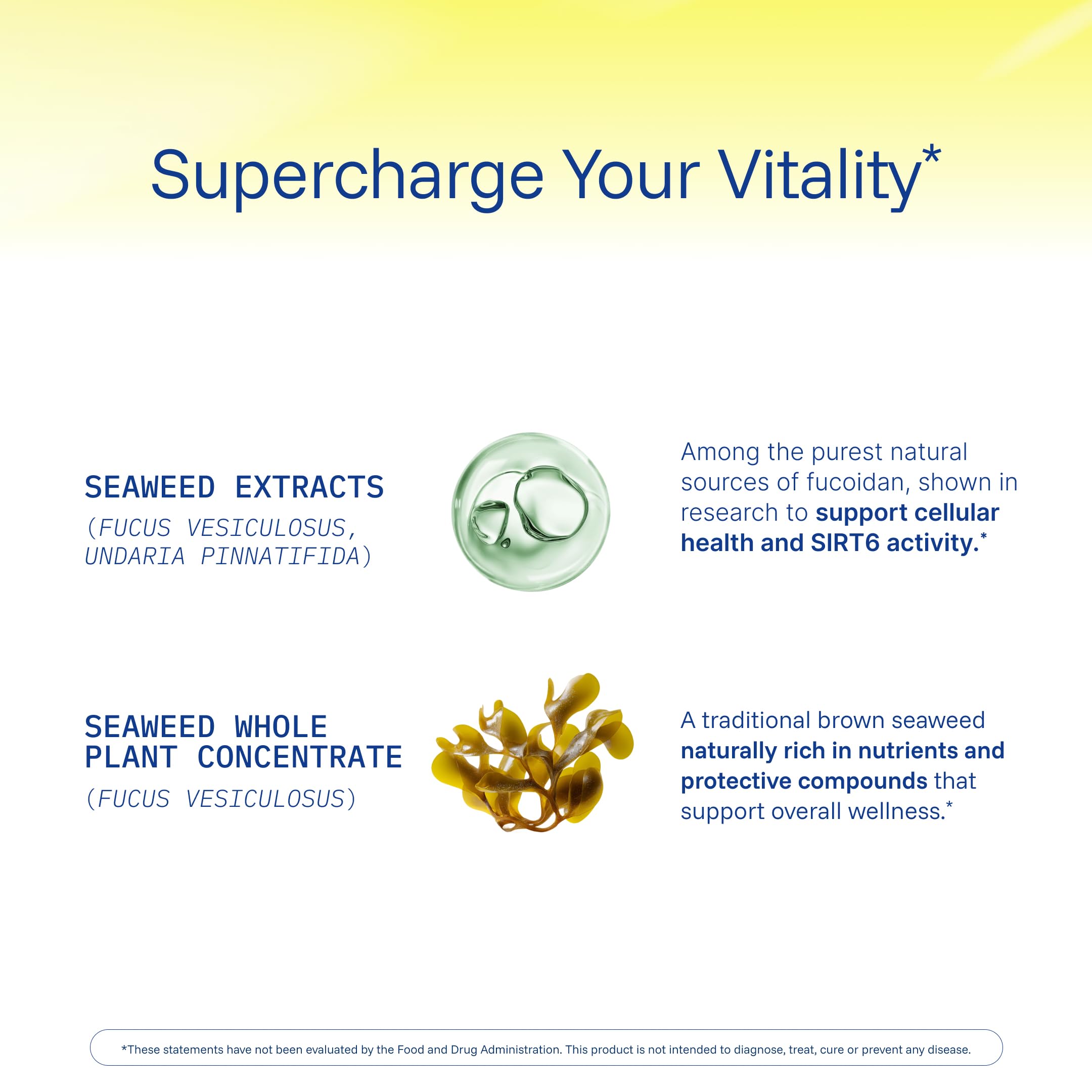 ProHealth Sirtuin 6 Activator | 60 Capsules | Fucoidan-Rich Seaweed Extract to Activate SIRT6 for Longevity, DNA & Cellular Support | Triple Lab-Tested, GMP-Manufactured in USA ProHealth Au supplements