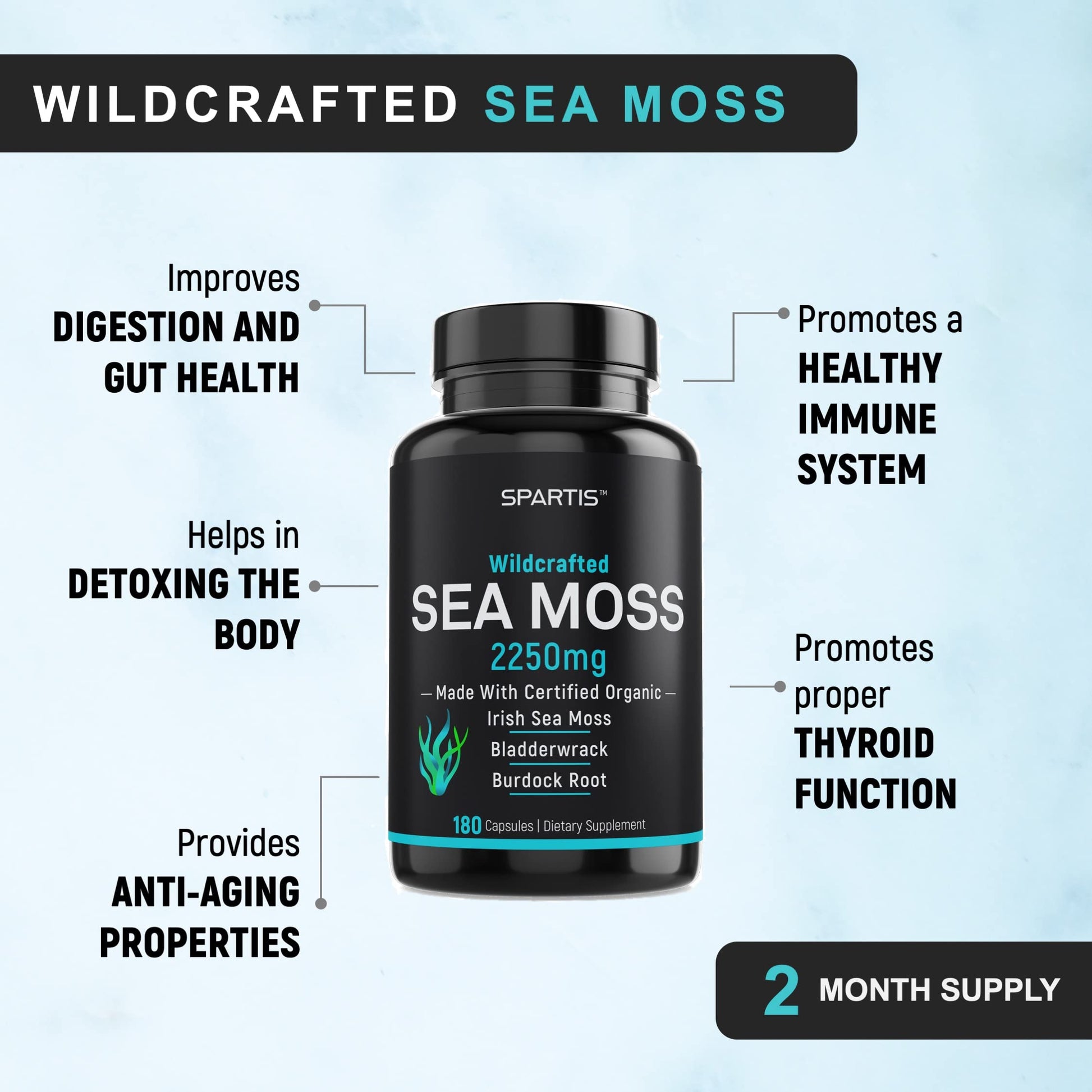 SPARTIS Certified Organic Sea Moss Capsules 2250mg Wildcrafted Irish Sea Moss Burdock Root Bladderwrack Supplement Raw Seamoss Pills & Powder (Pack of 1 at 180-Caps) SPARTIS Au supplements