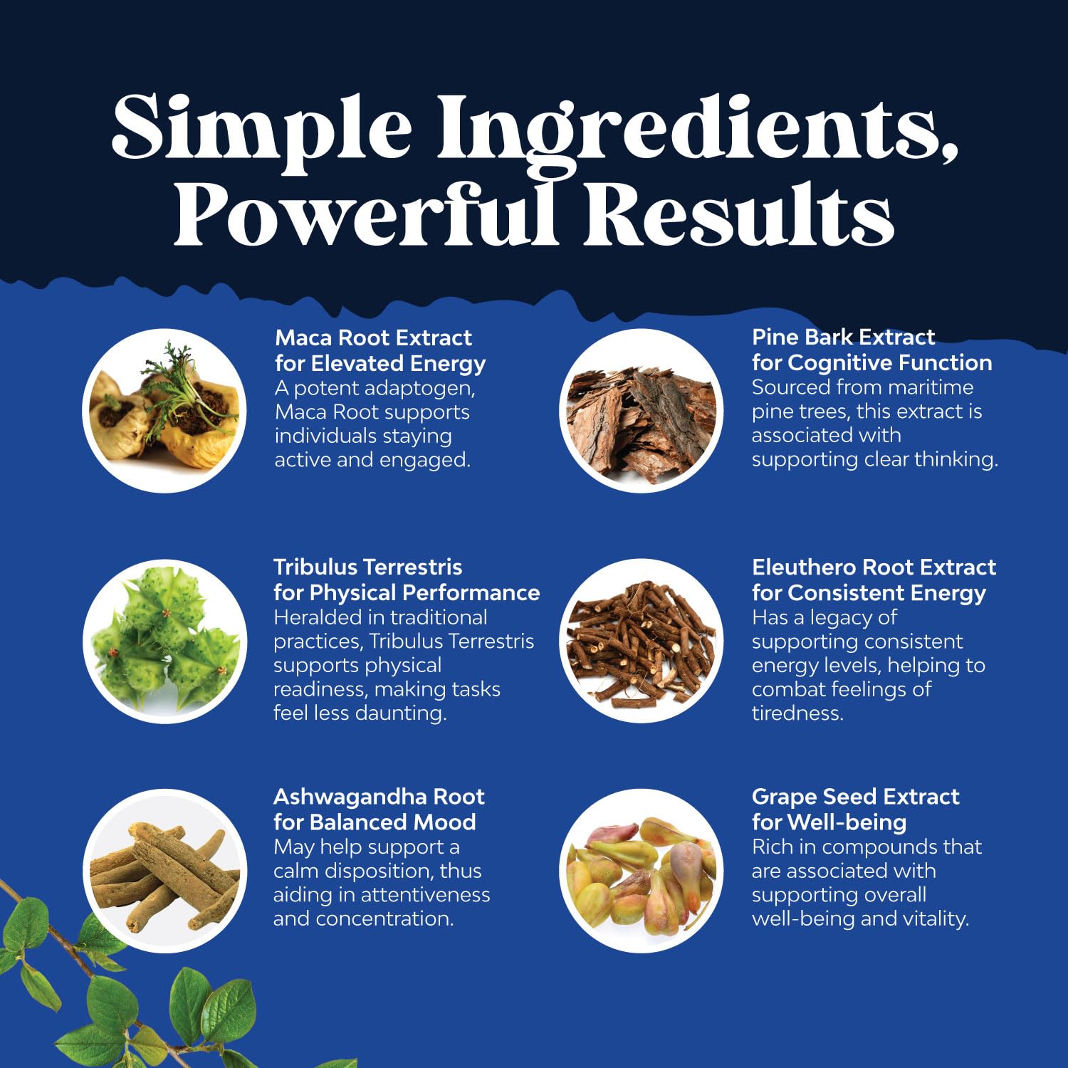 Potent Black Maca Root Capsules for Men - Herbal Wellness Supplement with Siberian Ginseng Ashwagandha and Black Maca Root - Men’s Wellness Supplement to Support General Health - 120 Count Natures Craft Au supplements