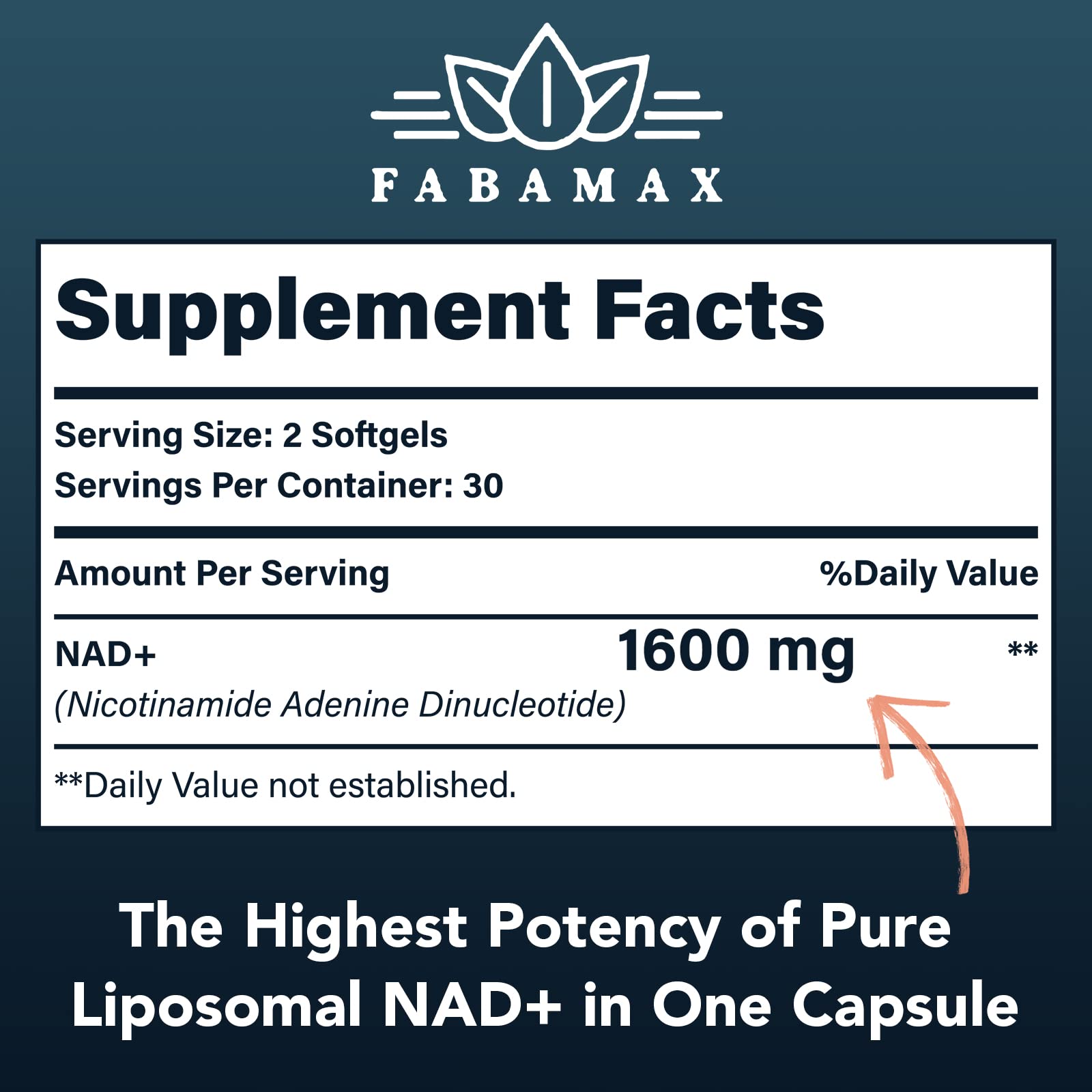 Fabamax 1600 mg Liposomal NAD Supplement, 98% Pure NAD+ Supplement, Superior Absorption, Alternative to Nicotinamide Riboside or NADH to Boost NAD+ for Aging Defense, Energy, Longevity, 120 Softgels Fabamax Au supplements