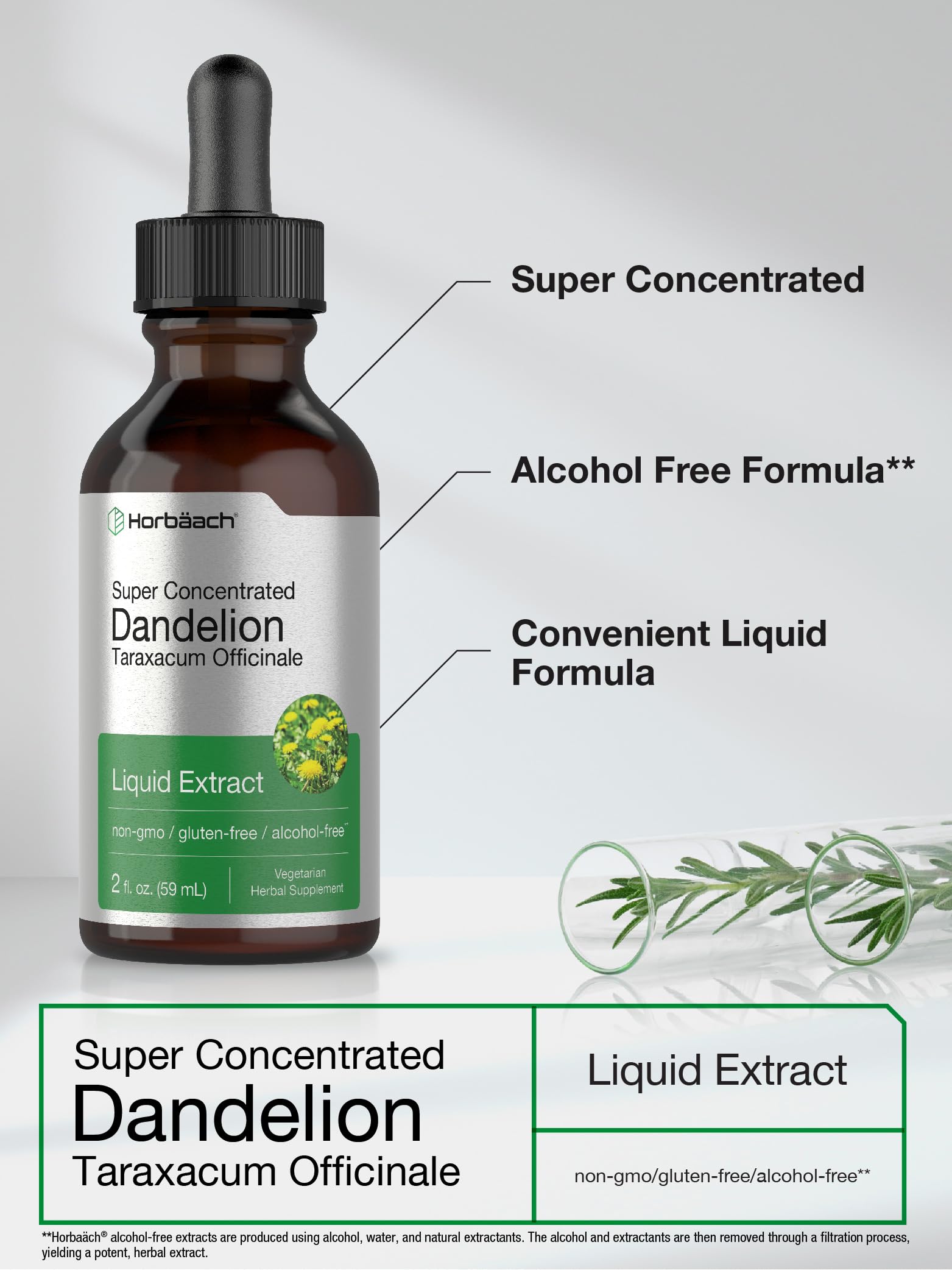 Dandelion Root Extract | 2 fl oz | Super Concentrated | Alcohol Free Liquid Tincture Horbäach Au supplements
