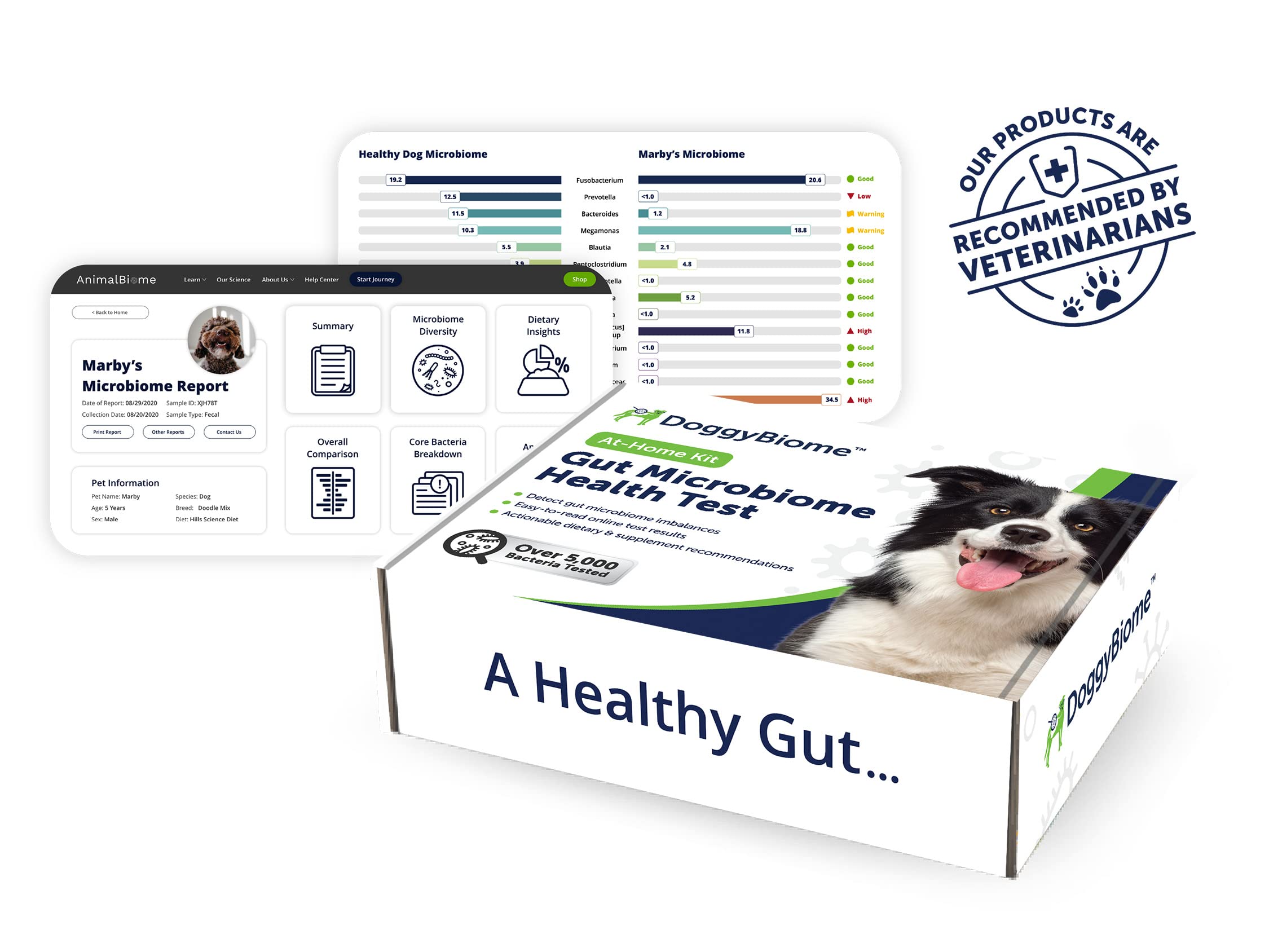 AnimalBiome Dog Gut Health Test – DoggyBiome At Home Stool Testing Kit, Canine Fecal Analysis for Digestive Issues, Diarrhea & Allergy Insights w/Personalized Report & Custom Plan (Dogs Outside US) AnimalBiome Au supplements