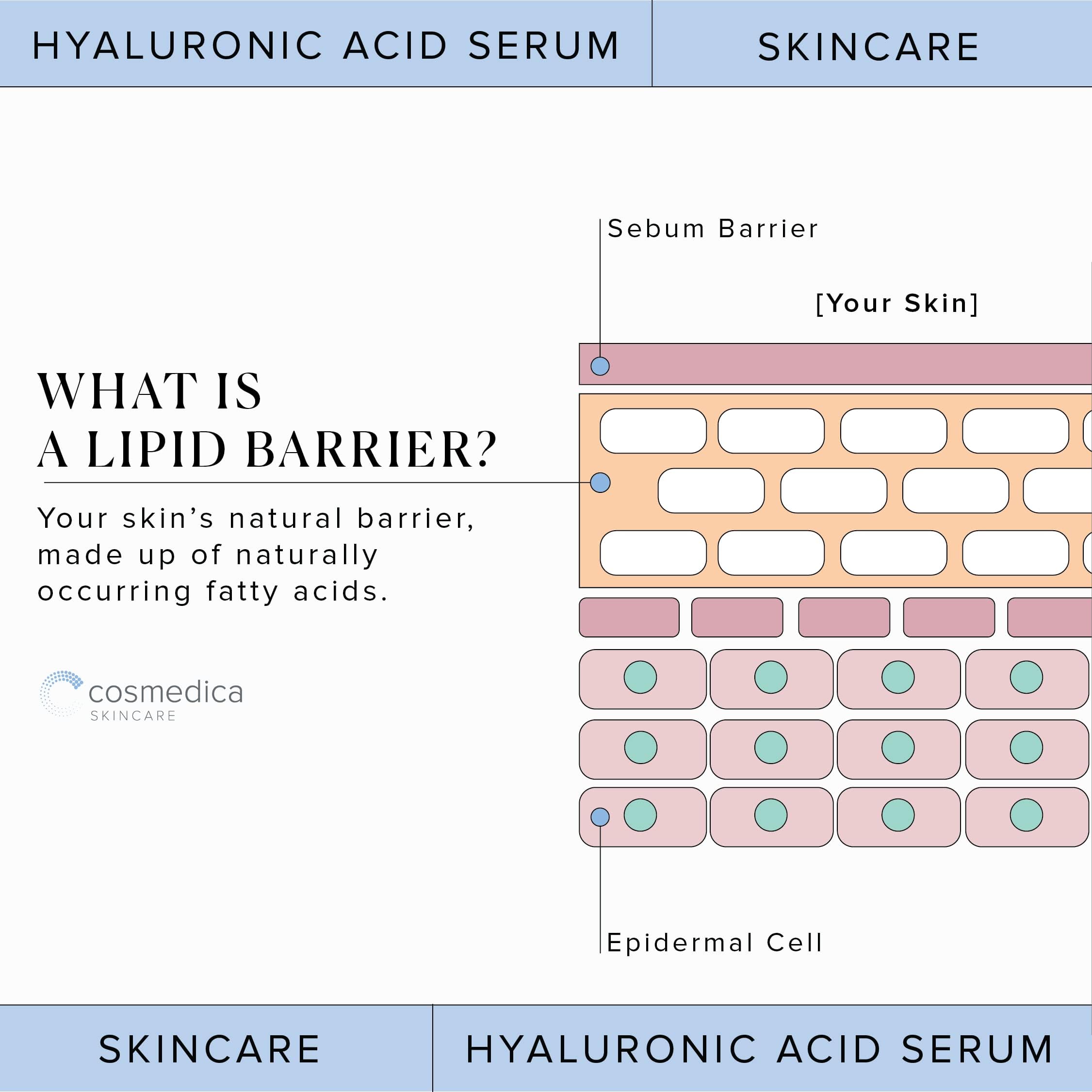 Hyaluronic Acid Serum for Skin 100% Pure Anti Aging Serum Intense Hydration Cosmedica Skincare Au supplements