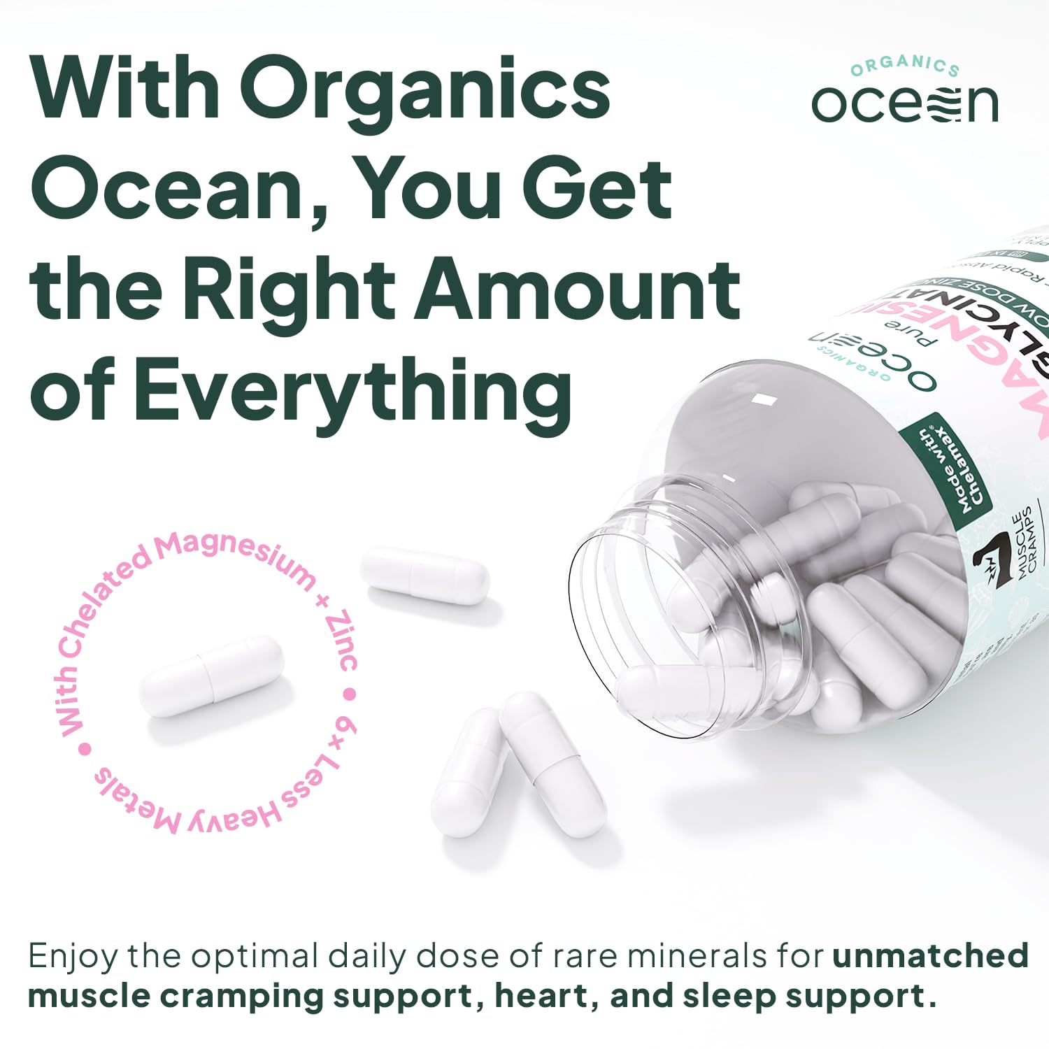Organics Ocean Pure Magnesium Glycinate with Zinc - Maximum Strength Chelated Magnesium Supplement for Women and Men for Muscle Cramps and Sleep Support - 90 Capsule Organics Ocean Au supplements