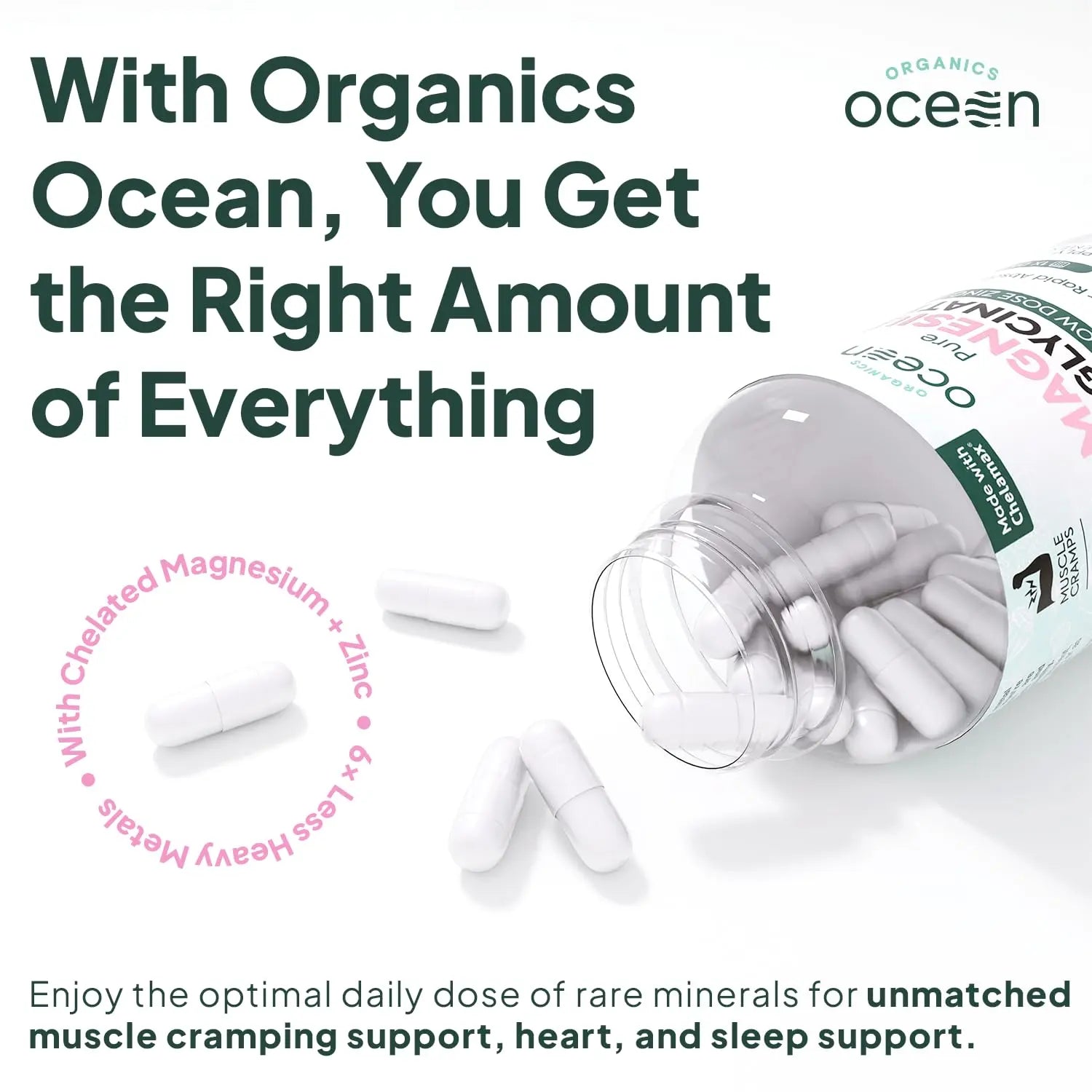 Organics Ocean Pure Magnesium Glycinate with Zinc - Maximum Strength Chelated Magnesium Supplement for Women and Men for Muscle Cramps and Sleep Support - 90 Capsule Organics Ocean Au supplements