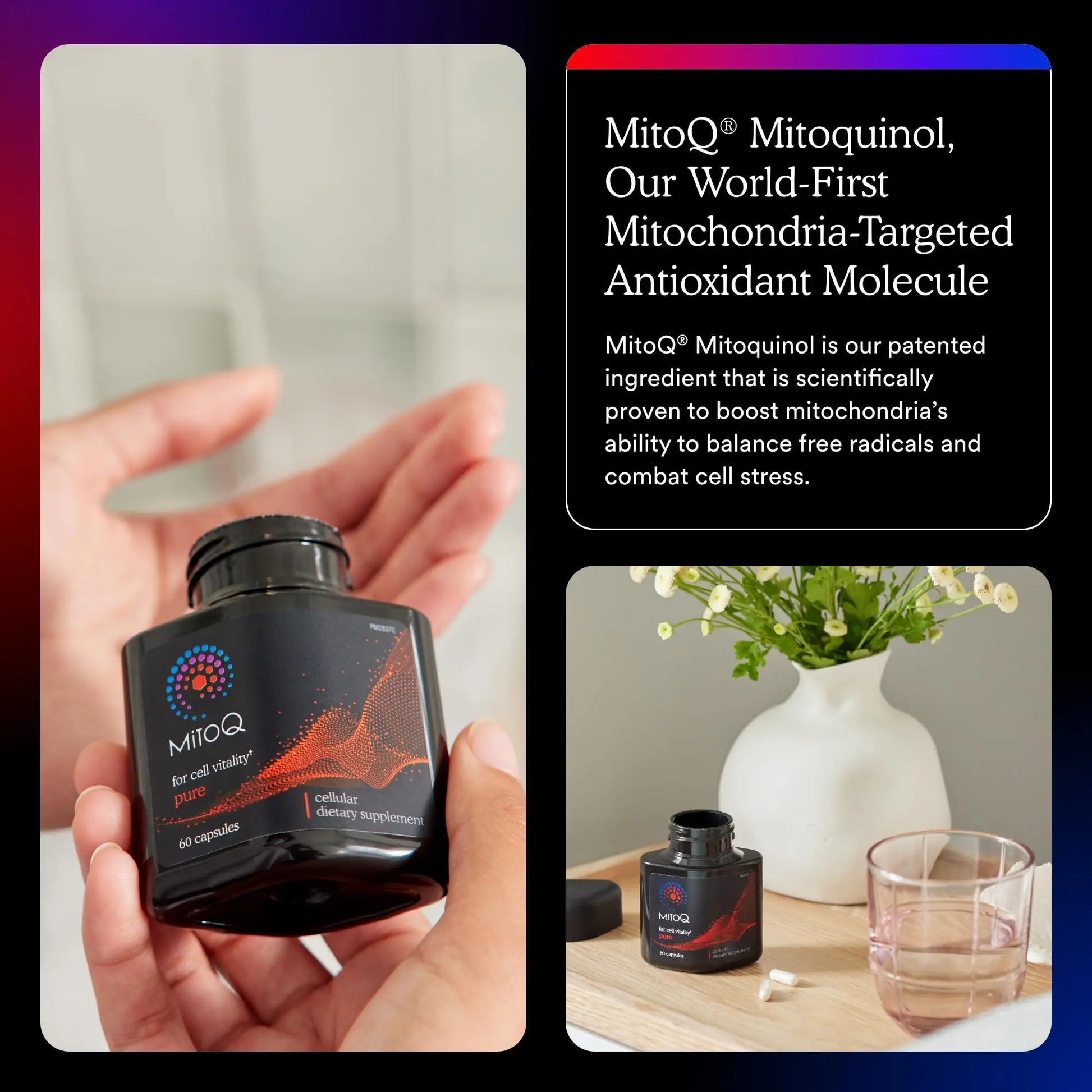 MitoQ Pure Advanced Mitochondria Supplement Superior Bioavailability to CoQ10 | Reduces Free Radical Damage for Healthy Aging, Metabolism, Heart Health, Energy, Strength & Mobility MitoQ Au supplements