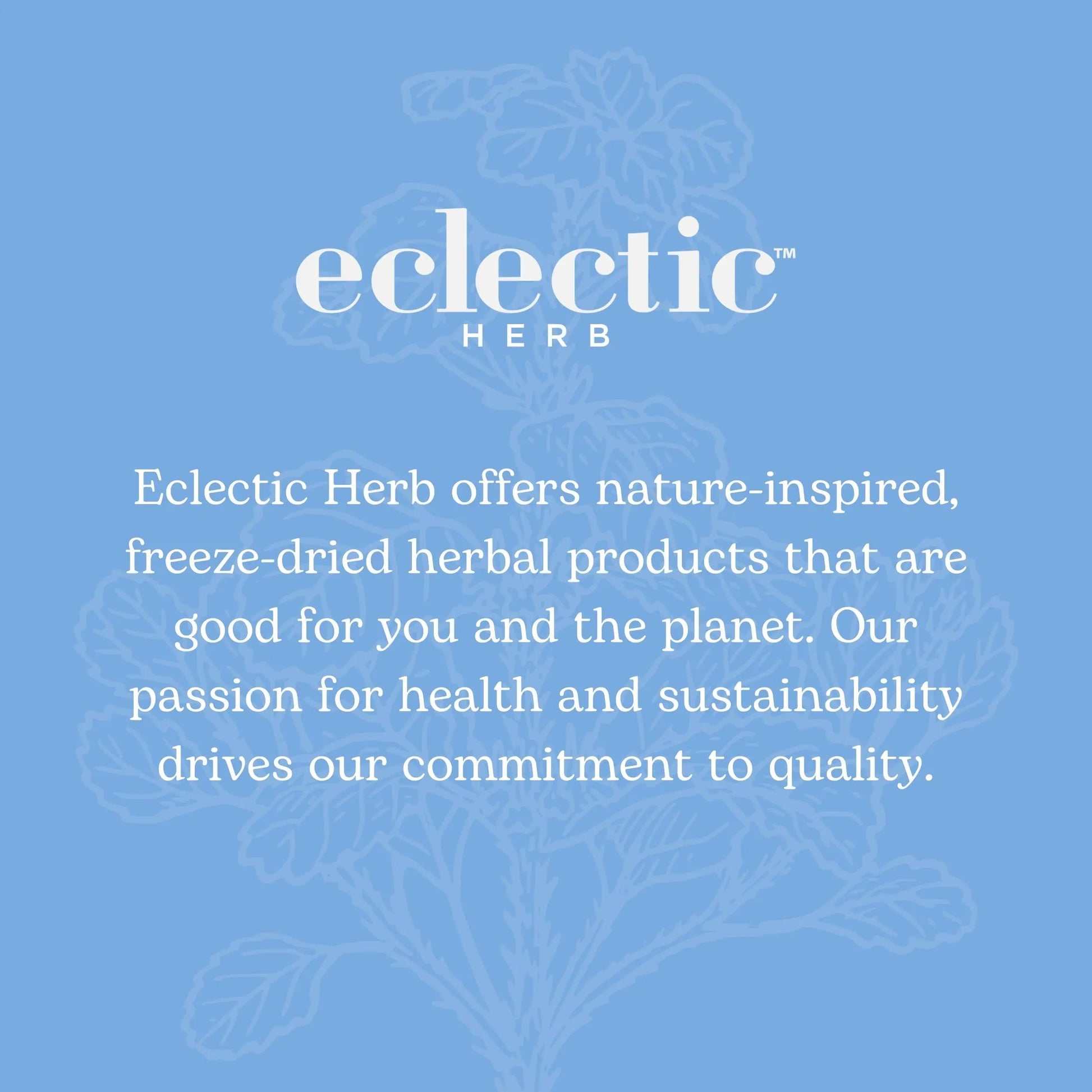 Eclectic Institute Stone Root O 2 Ounce ECLECTIC INSTITUTE Au supplements