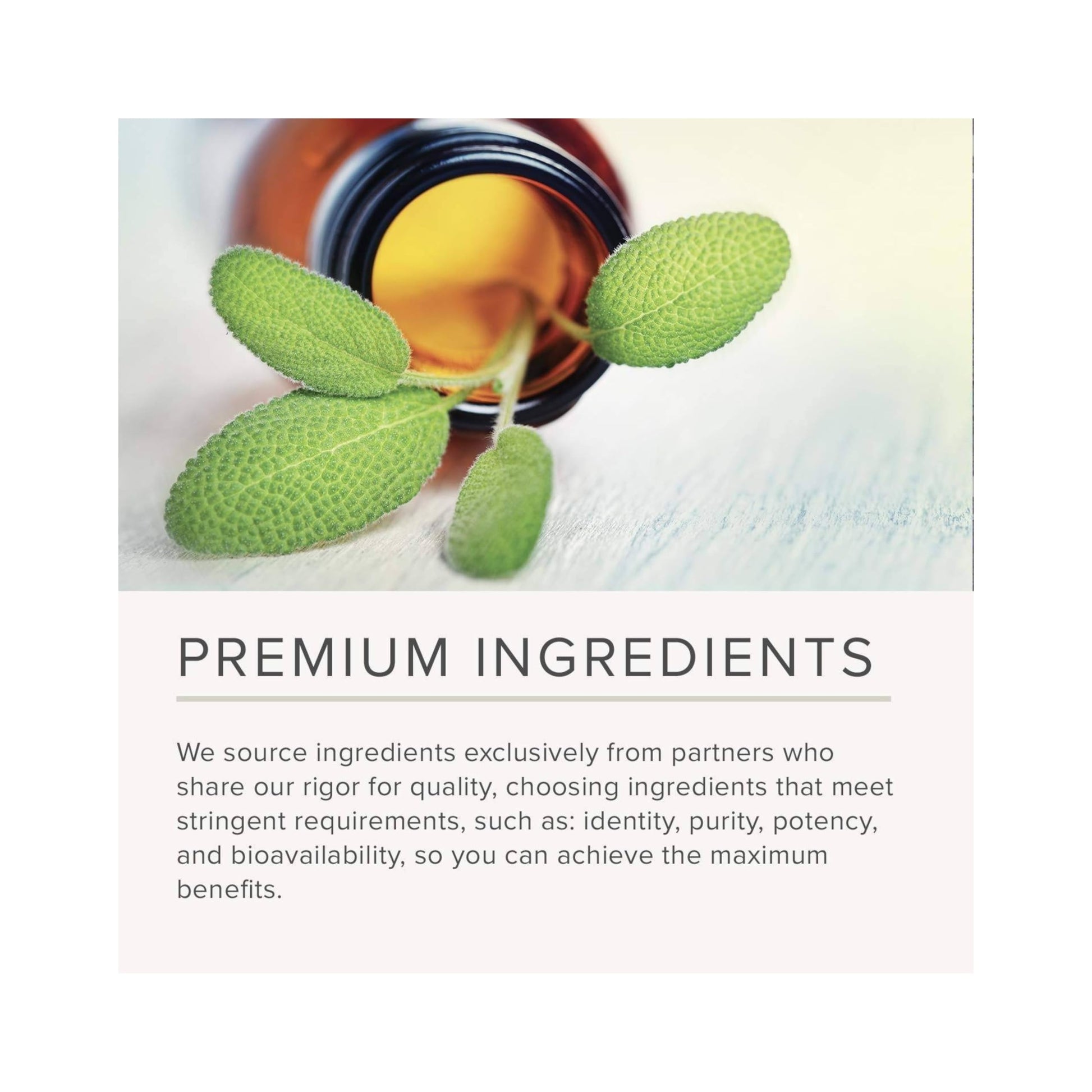 NusaPure Caralluma Fimbriata 1600mg - 180 Veggie Capsules (Non-GMO, Vegan) NusaPure Au supplements