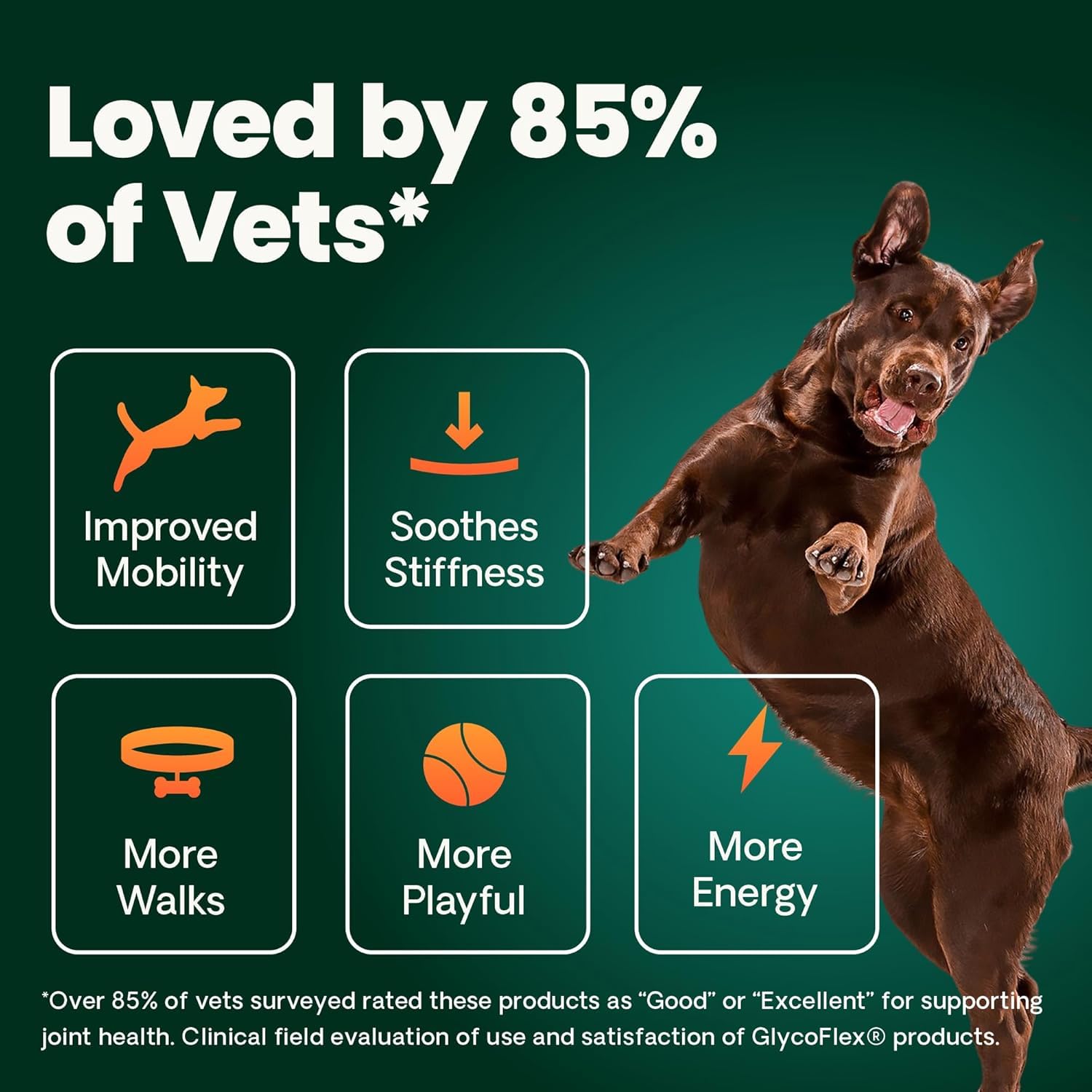 VetriScience Ultimate Strength Healthy Hip & Joint Chews, GlycoFlex Glucosamine, Chondroitin and Green-Lipped Mussel Joint Support Supplement for Dogs, Soothe Joint Discomfort, Duck, 120 Count VETRISCIENCE Au supplements