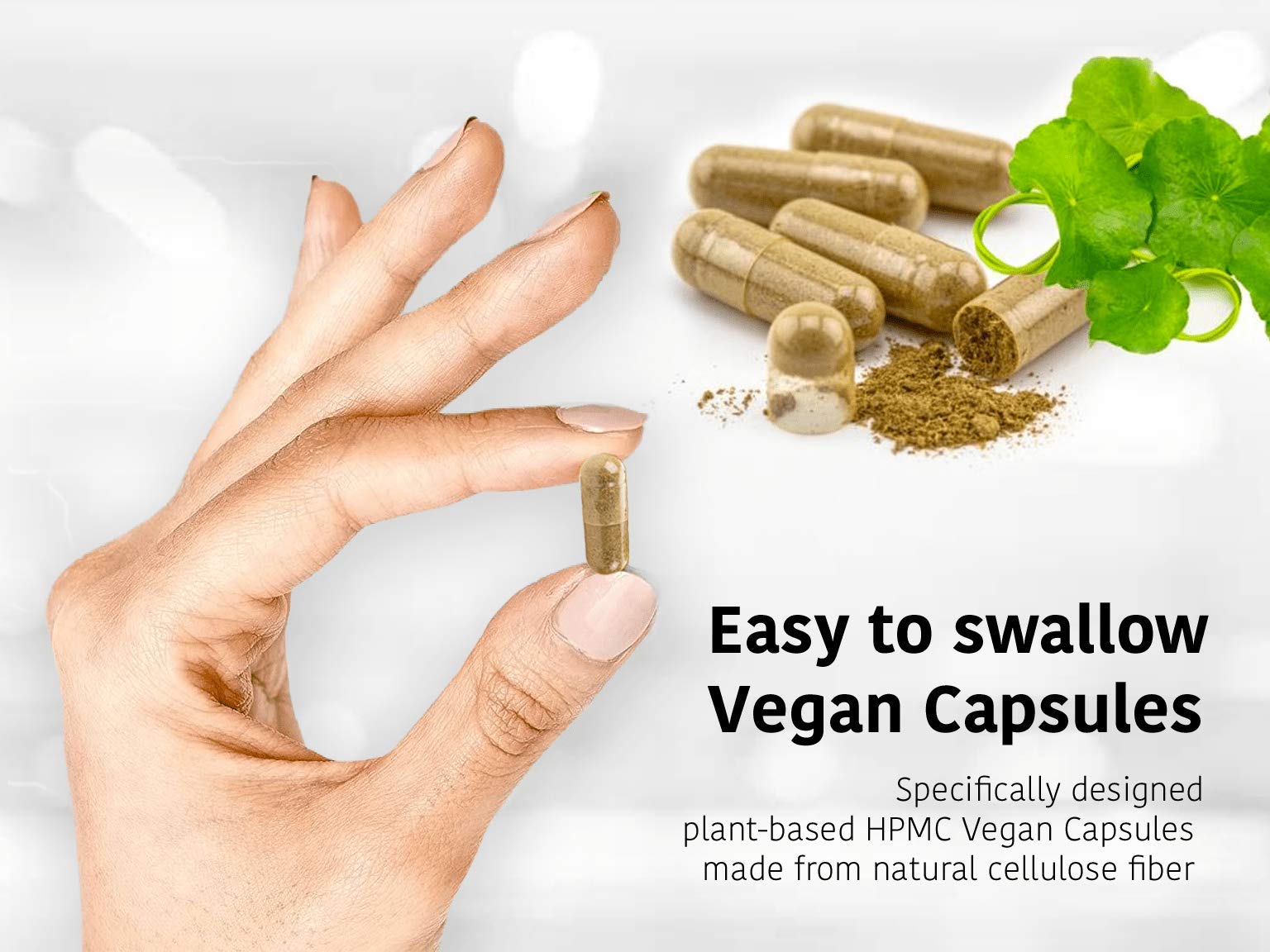 DR WAKDE'S Trivrit Capsules (Nishottar, 60 Veg Caps, Plant-Based Supplement, Ayurvedic Herb, All Natural, Vegan) DR WAKDE's Au supplements