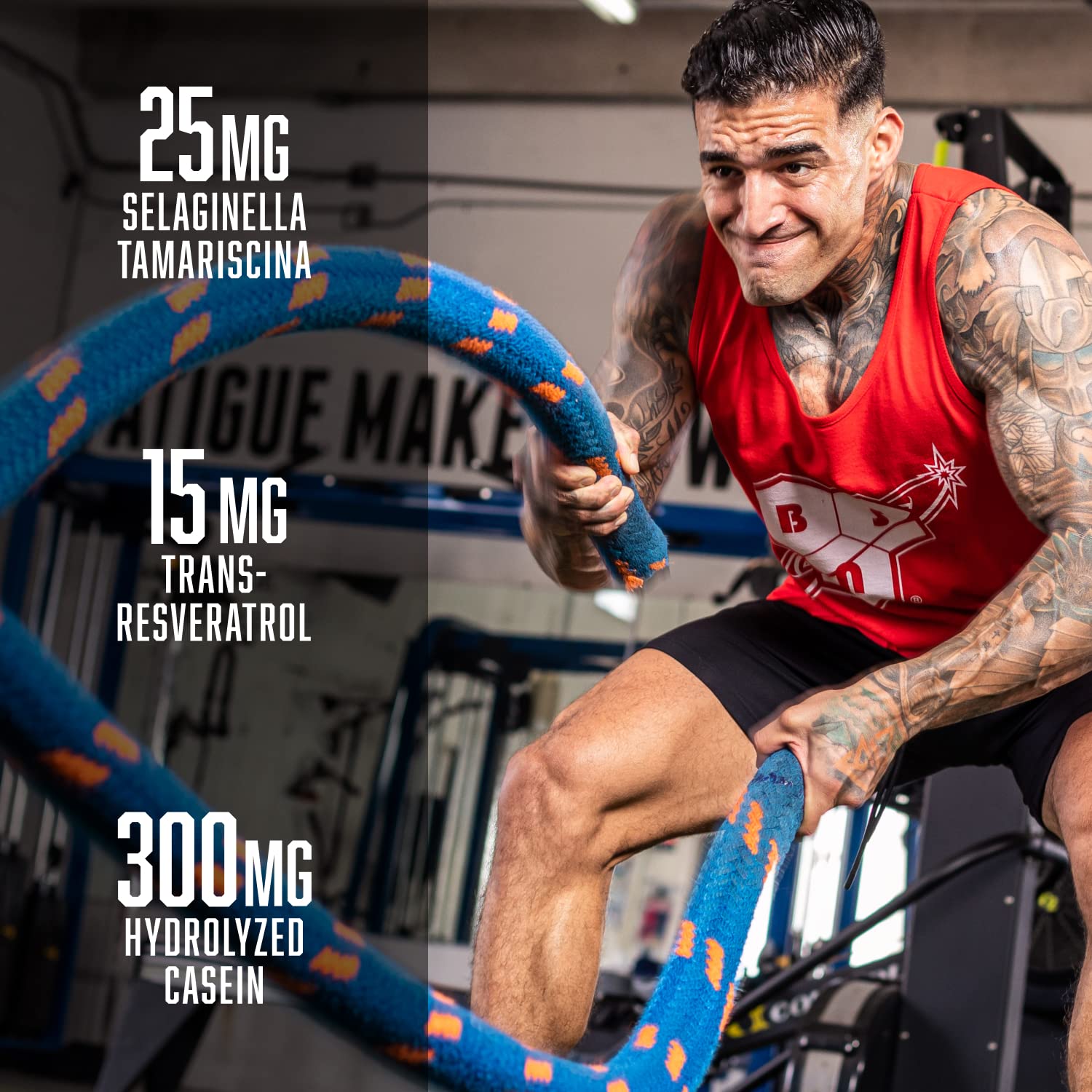BSN N.O.-XPLODE Vaso Pre Workout Powder with 8g of L-Citulline and 3.2g Beta-Alanine BSN Au supplements