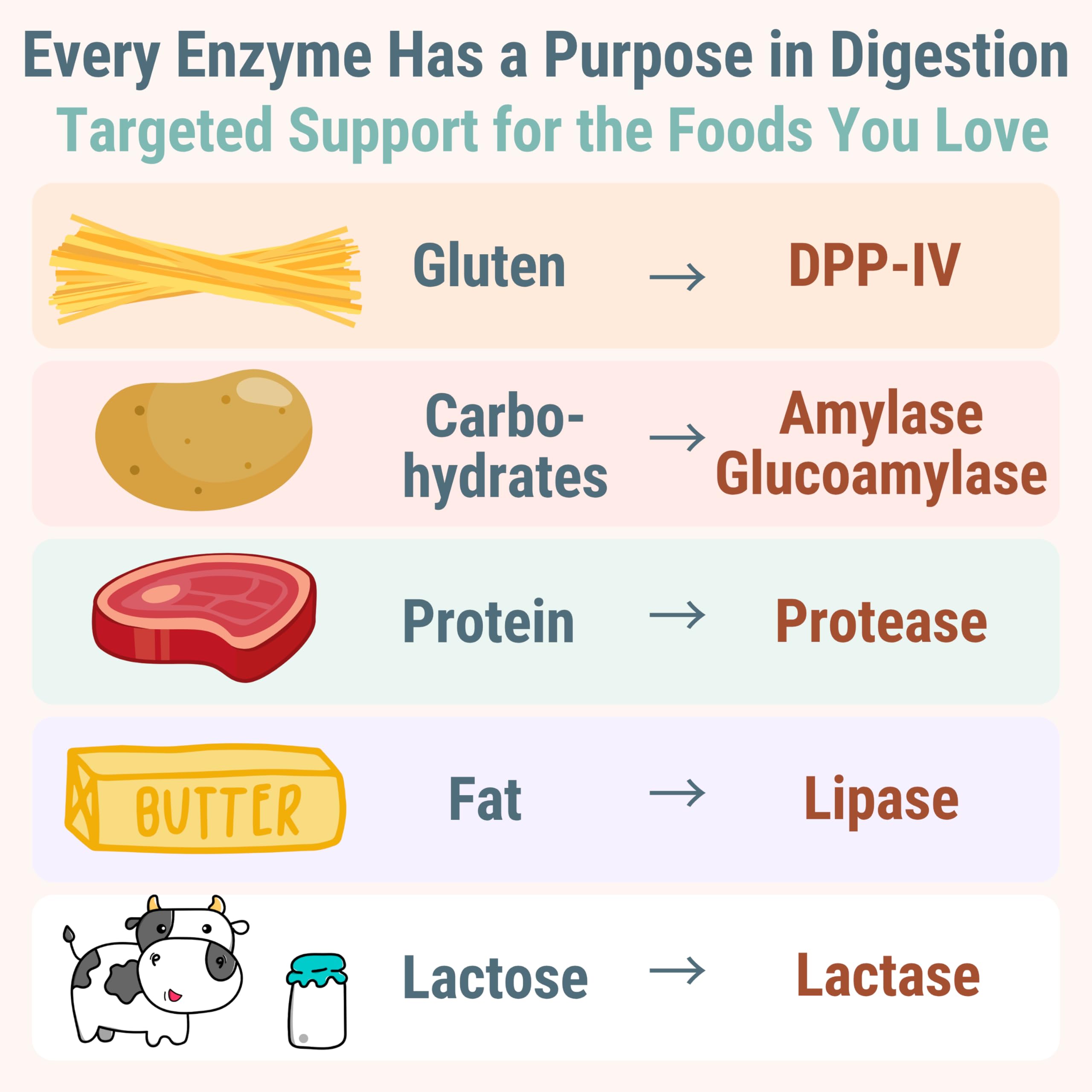 Gluten & Lactase Digestive Enzyme Gummies – Lactase Pancreatic Enzymes with DPP‑IV Lipase Gluco‑Amylase Lactase, Drops Chewables Capsules Pills Powder Supplement Alt, Pancreatic Support, for Kids SHIZAM Au supplements