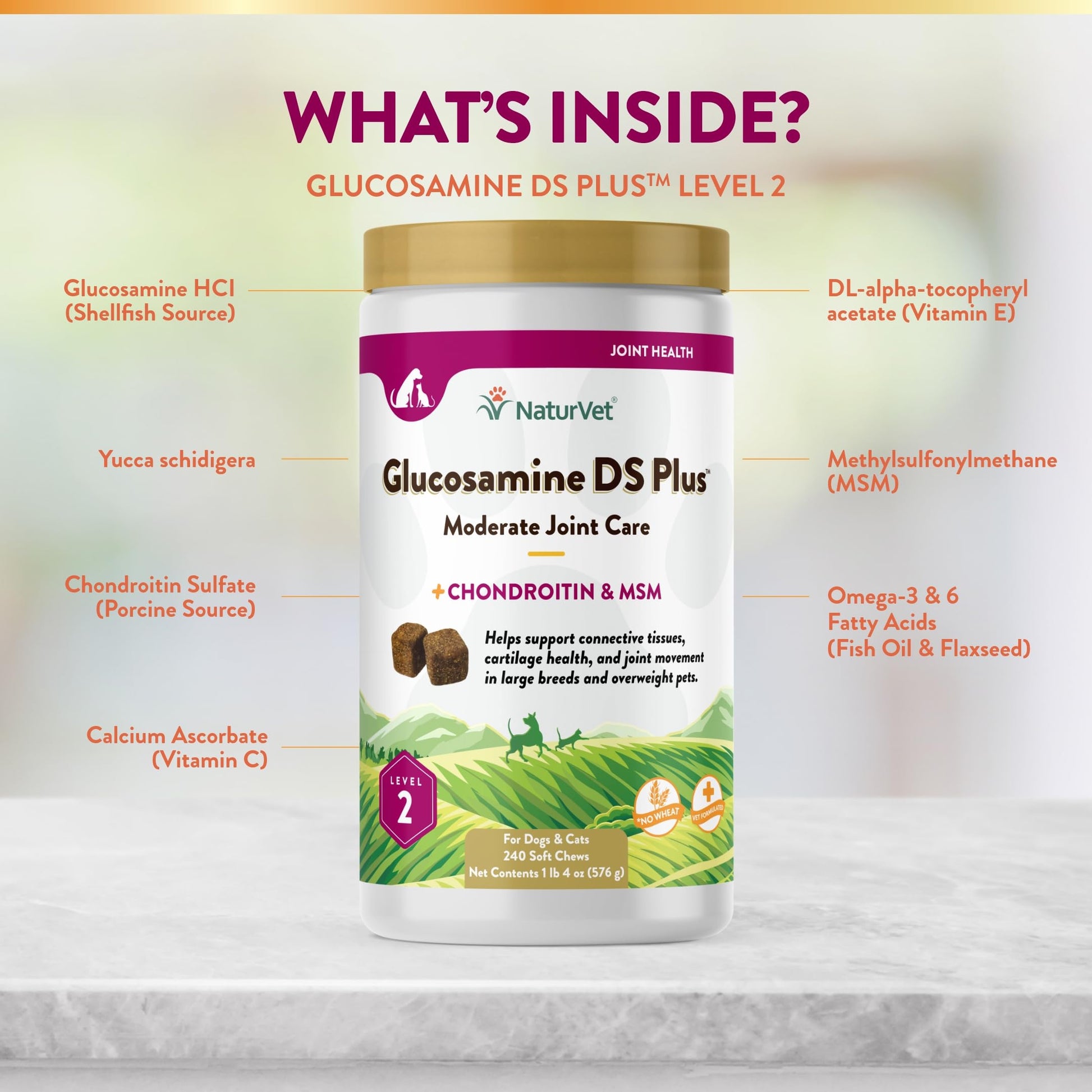 NaturVet – Glucosamine DS Plus - Level 2 Moderate Care – Supports Healthy Hip & Joint Function – Enhanced with Glucosamine, MSM & Chondroitin – for Dogs & Cats – 240 Soft Chews NaturVet Au supplements