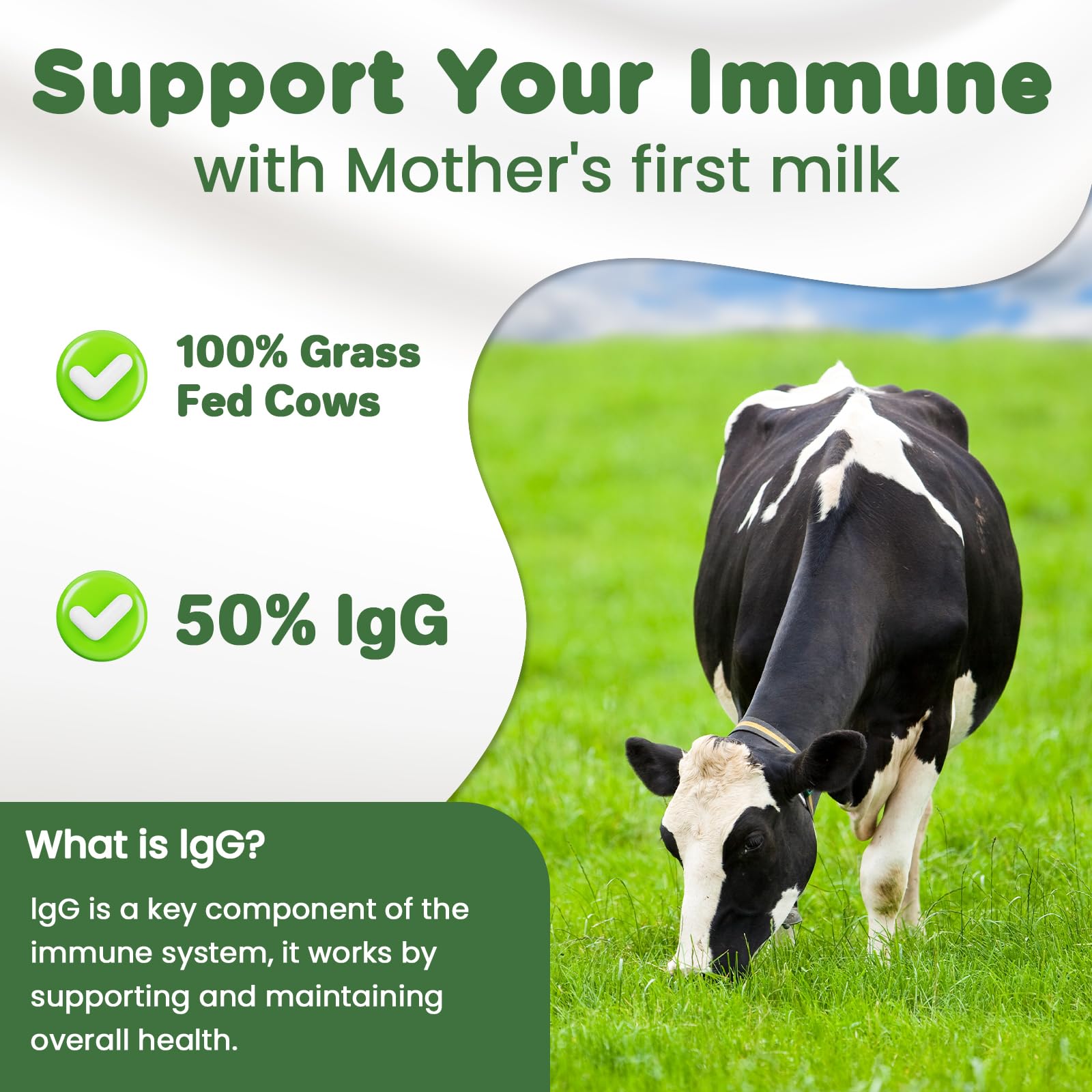 MICYDELAS Bovine Colostrum Supplement Powder 50% IgG Premium Bovine Colostrum for Gut Health Support, Immune Support, Muscle Recovery & Overall Wellness, Grass Fed, Non-GMO, Unflavored, 60 Servings MICYDELAS Au supplements