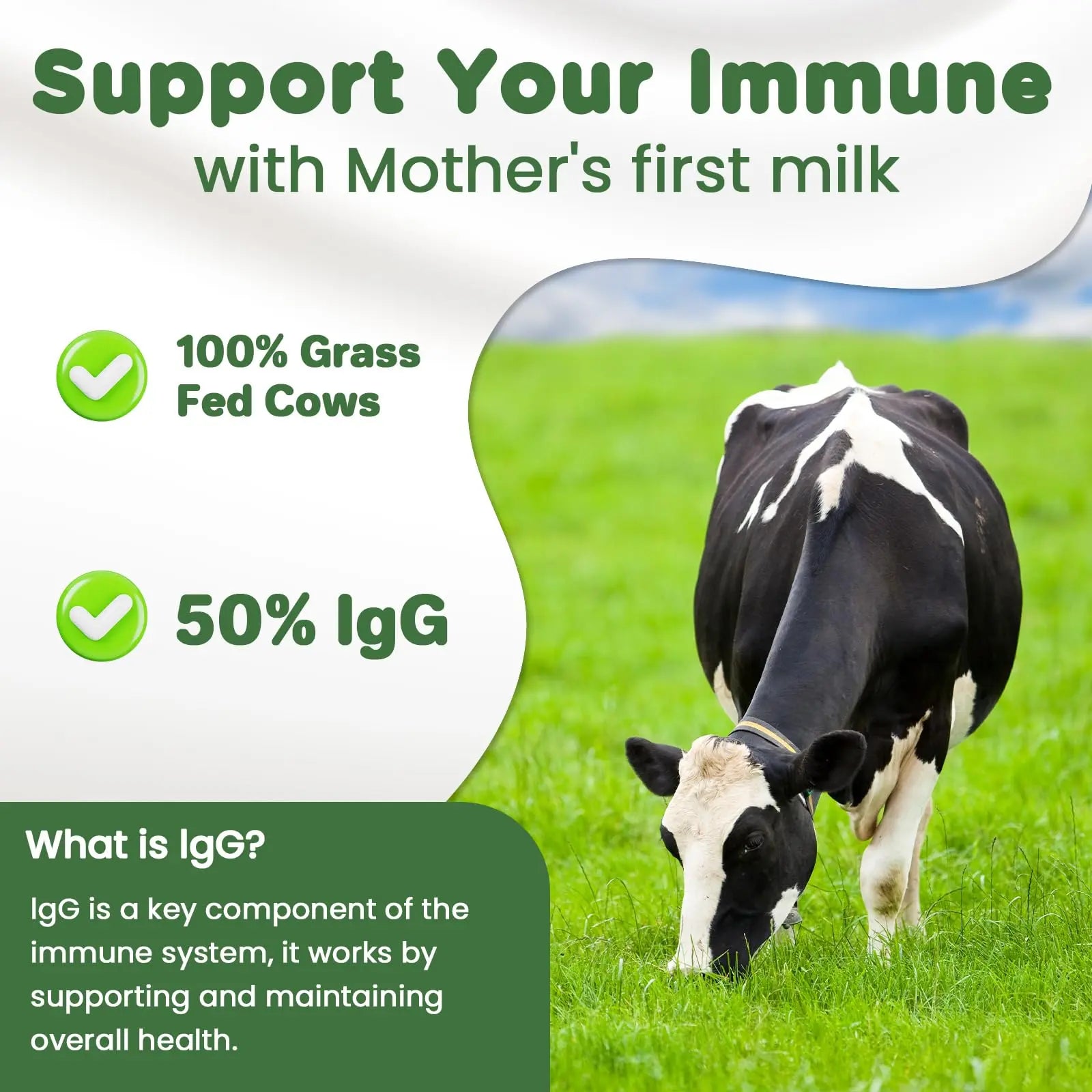 MICYDELAS Bovine Colostrum Supplement Powder 50% IgG Premium Bovine Colostrum for Gut Health Support, Immune Support, Muscle Recovery & Overall Wellness, Grass Fed, Non-GMO, Unflavored, 60 Servings MICYDELAS Au supplements