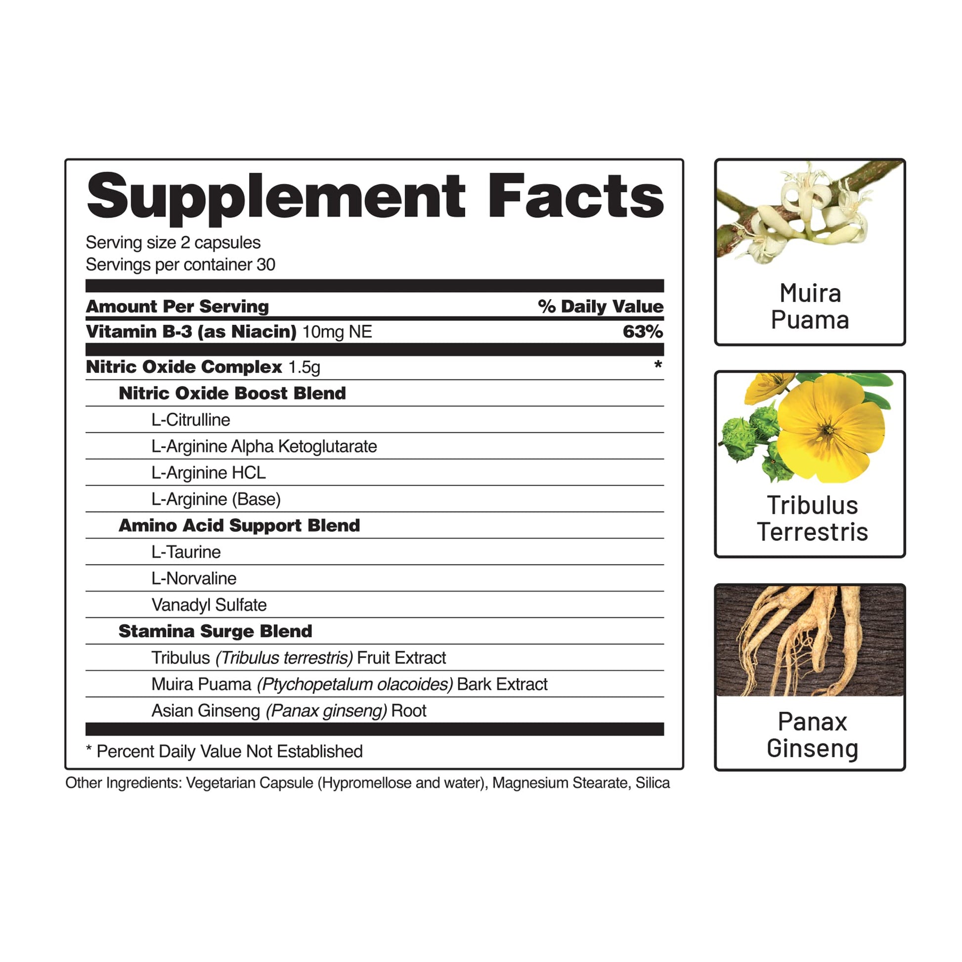 Snap Supplements Nitric Oxide Booster, Nitric Oxide Supplement for Blood Circulation Snap Supplements Au supplements