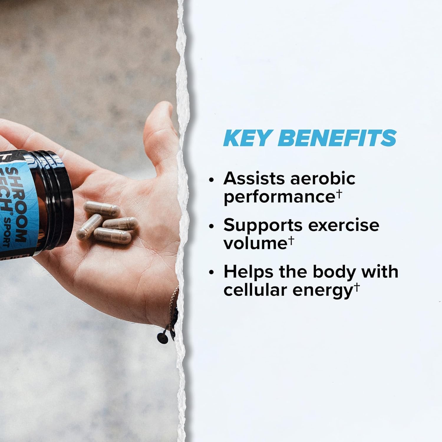 ONNIT Cognitive & Endurance Support Bundle: Alpha Brain Nootropic Capsules (90 Count) + Shroom Tech Sport Exercise Support Capsules (28 Count), IGEN Non-GMO Tested Focus, Energy & Endurance, 2 Pack ONNIT Au supplements