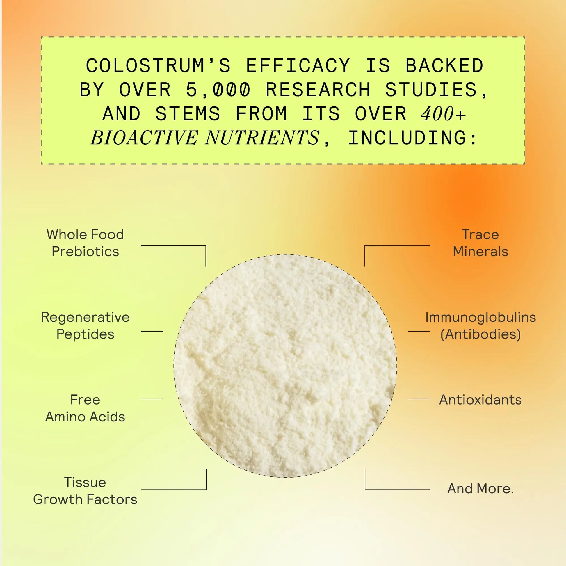 ARMRA Colostrum™ Premium Powder, Grass Fed, Gut Health Bloating Immunity Skin & Hair, Contains 400+ Bioactive Nutrients, Keto, Gluten & Fat Free (Vine Watermelon, Unflavored Bundle | 150 Servings) ARMRA Au supplements