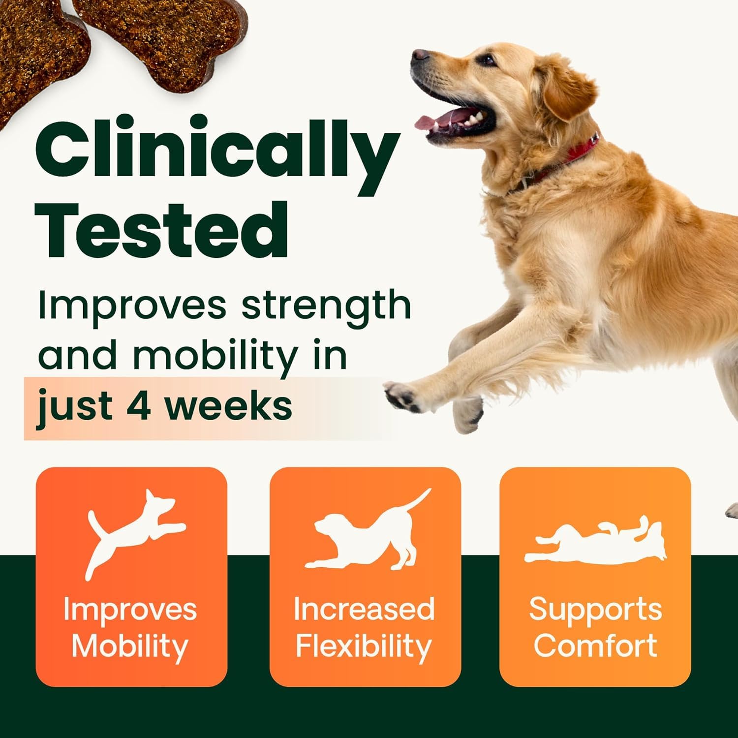 VetriScience Ultimate Strength Healthy Hip & Joint Chews, GlycoFlex Glucosamine, Chondroitin and Green-Lipped Mussel Joint Support Supplement for Dogs, Soothe Joint Discomfort, Duck, 120 Count VETRISCIENCE Au supplements